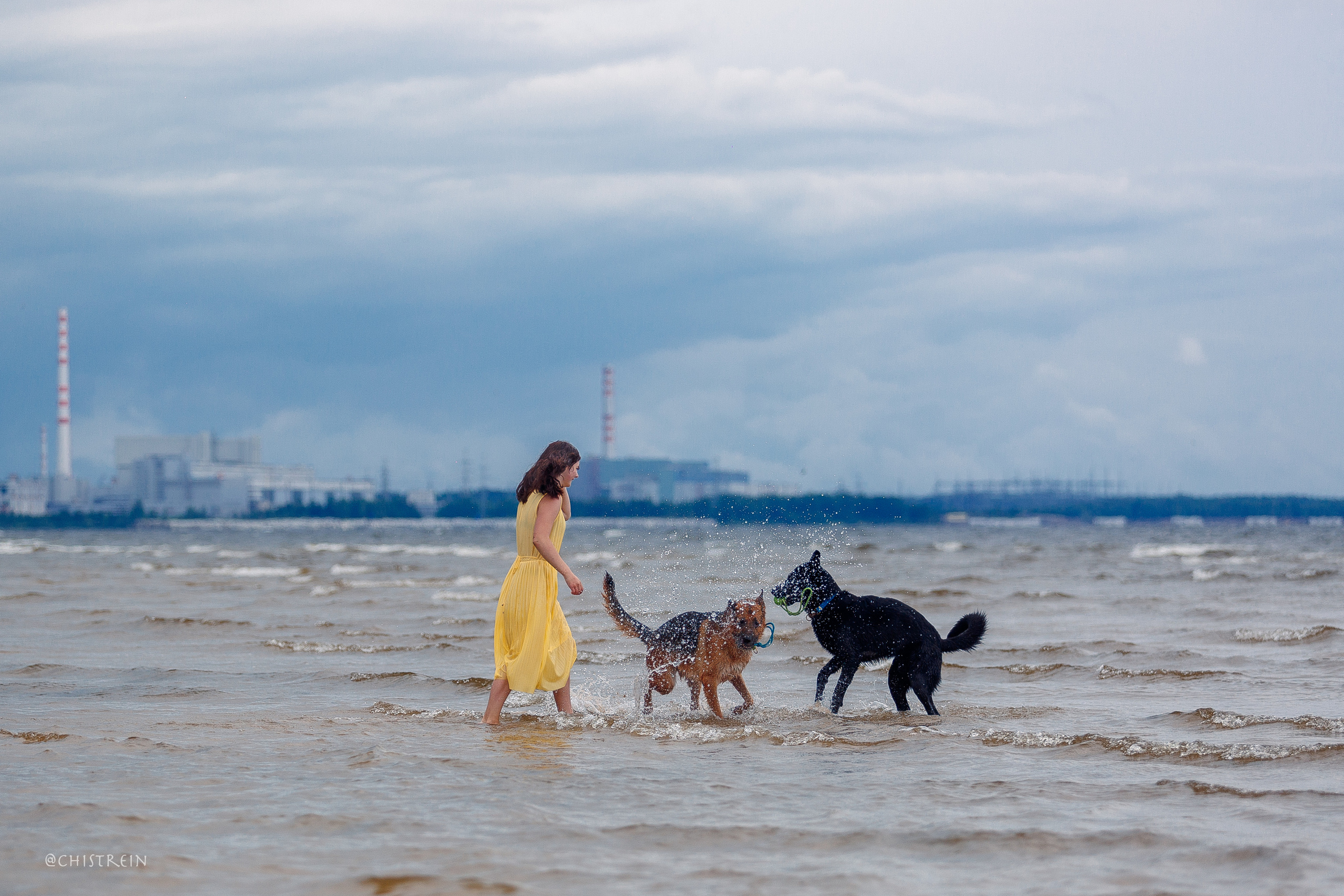 Соня и банда. Фотограф-анималист Наталия Чистюхина в г. Сосновый Бор и ЛО