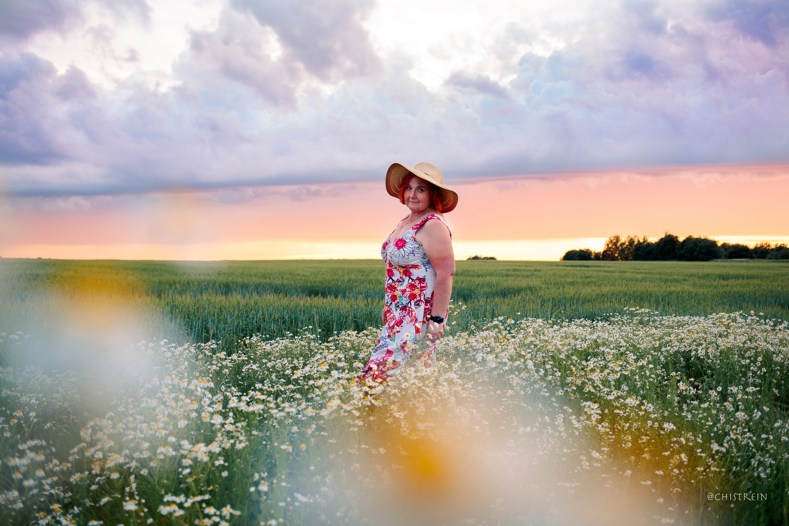 Лена и Раш встречают закат в полях. Фотограф-анималист Наталия Чистюхина в г. Сосновый Бор и ЛО
