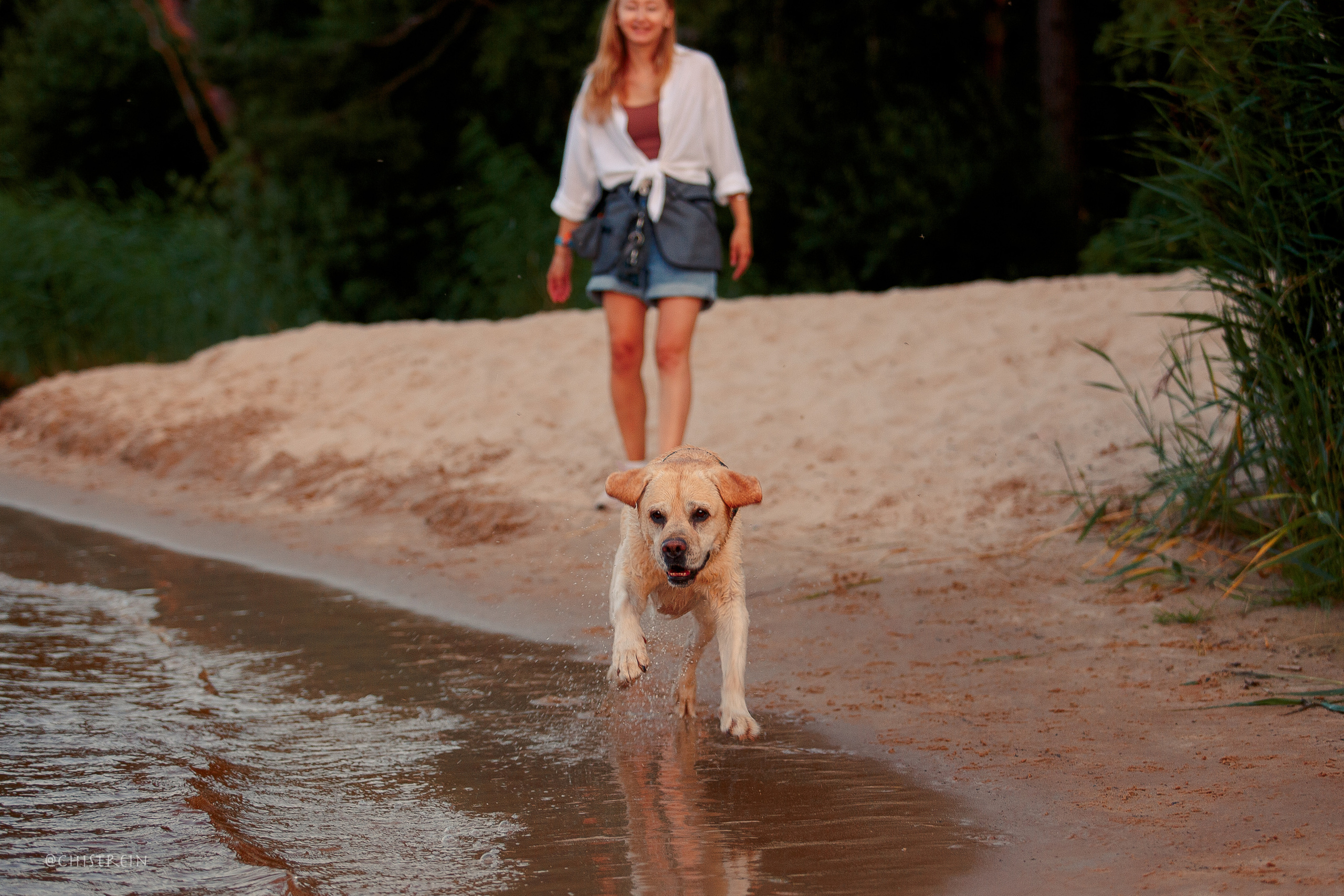Маша и лабрадор Арни. Фотограф-анималист Наталия Чистюхина в г. Сосновый Бор и ЛО