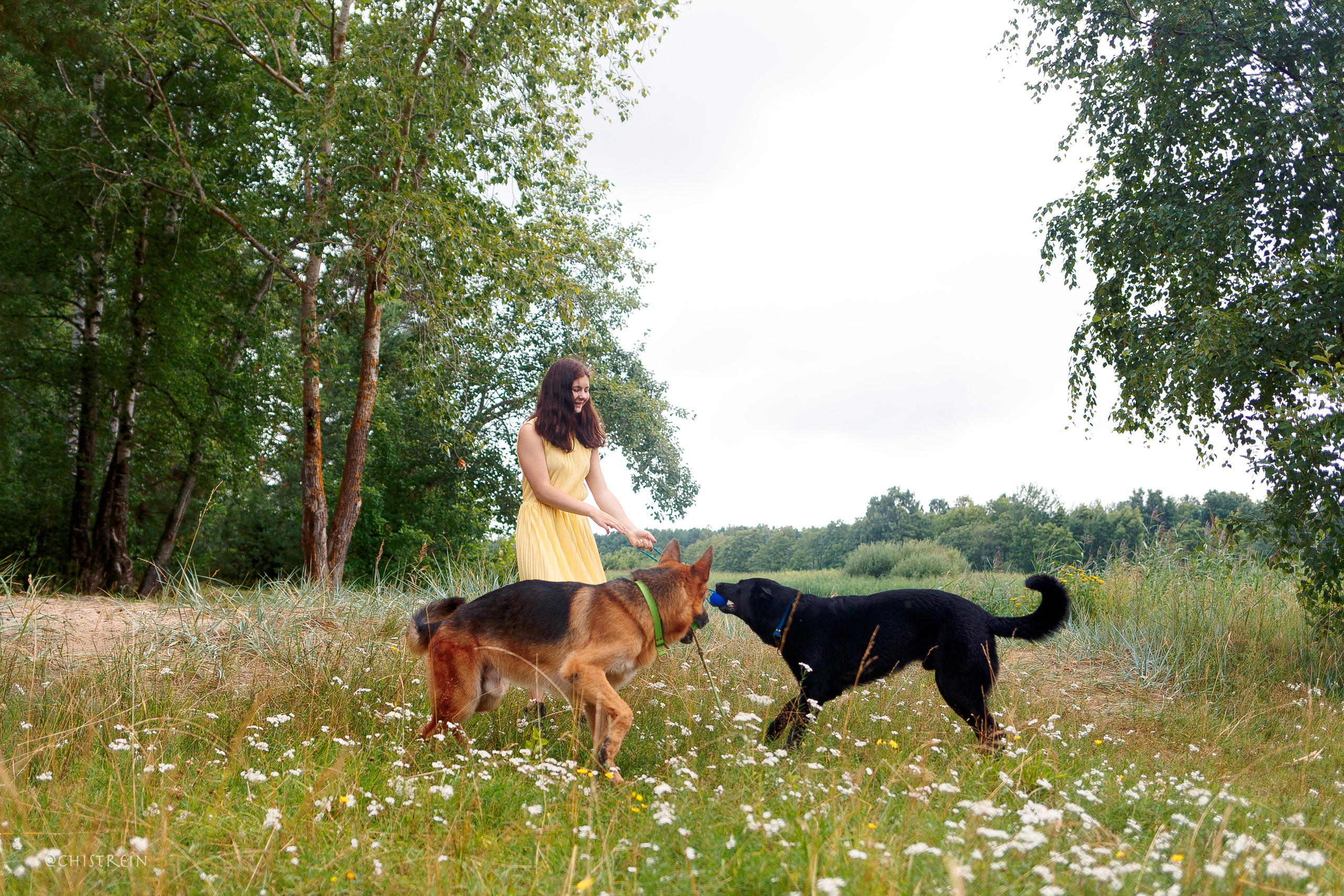 Соня и банда. Фотограф-анималист Наталия Чистюхина в г. Сосновый Бор и ЛО