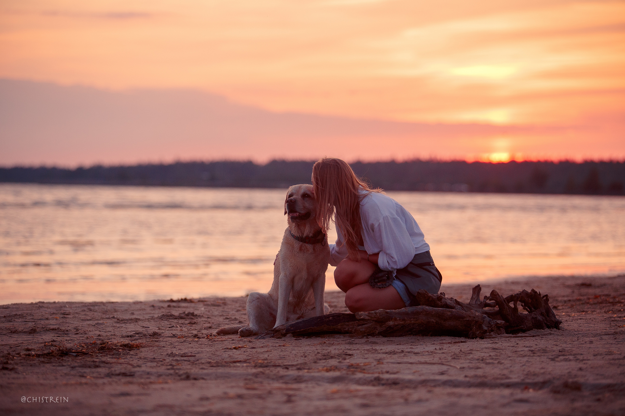 Маша и лабрадор Арни. Фотограф-анималист Наталия Чистюхина в г. Сосновый Бор и ЛО
