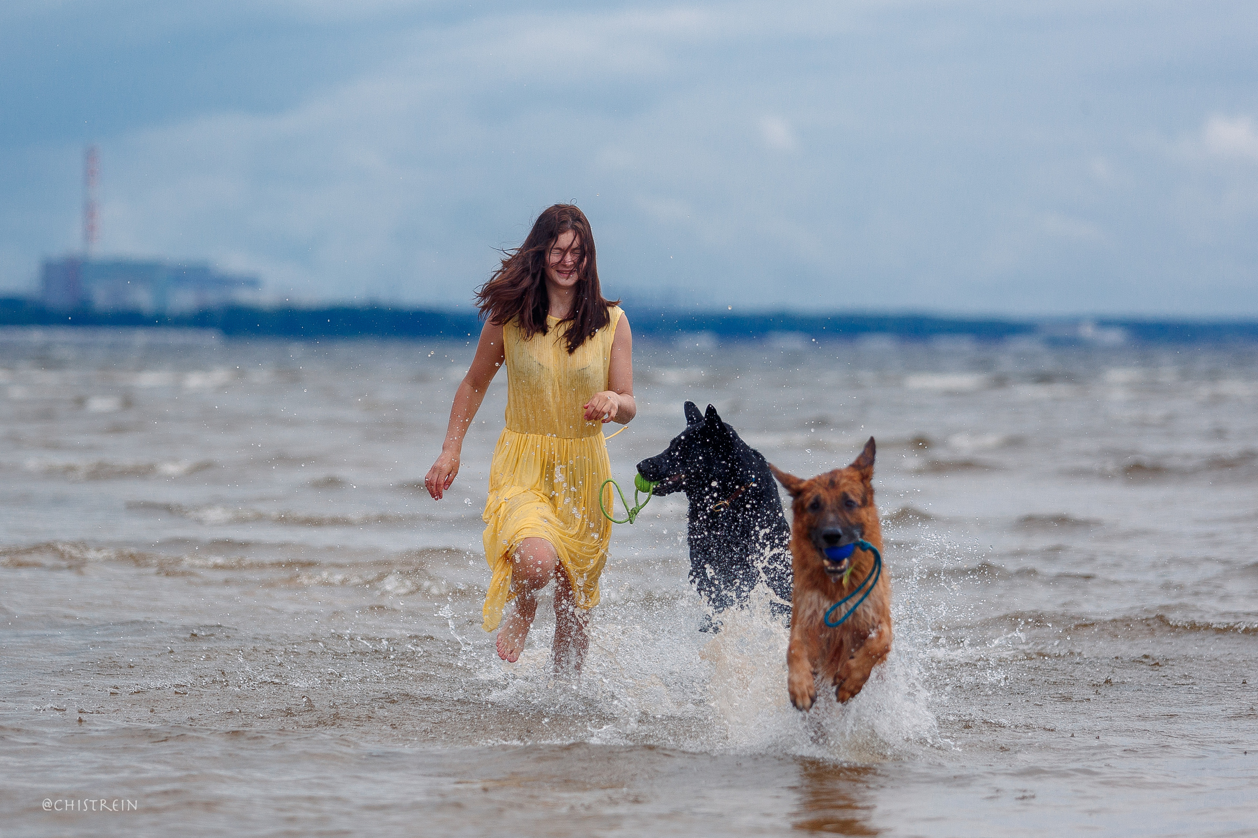 Соня и банда. Фотограф-анималист Наталия Чистюхина в г. Сосновый Бор и ЛО