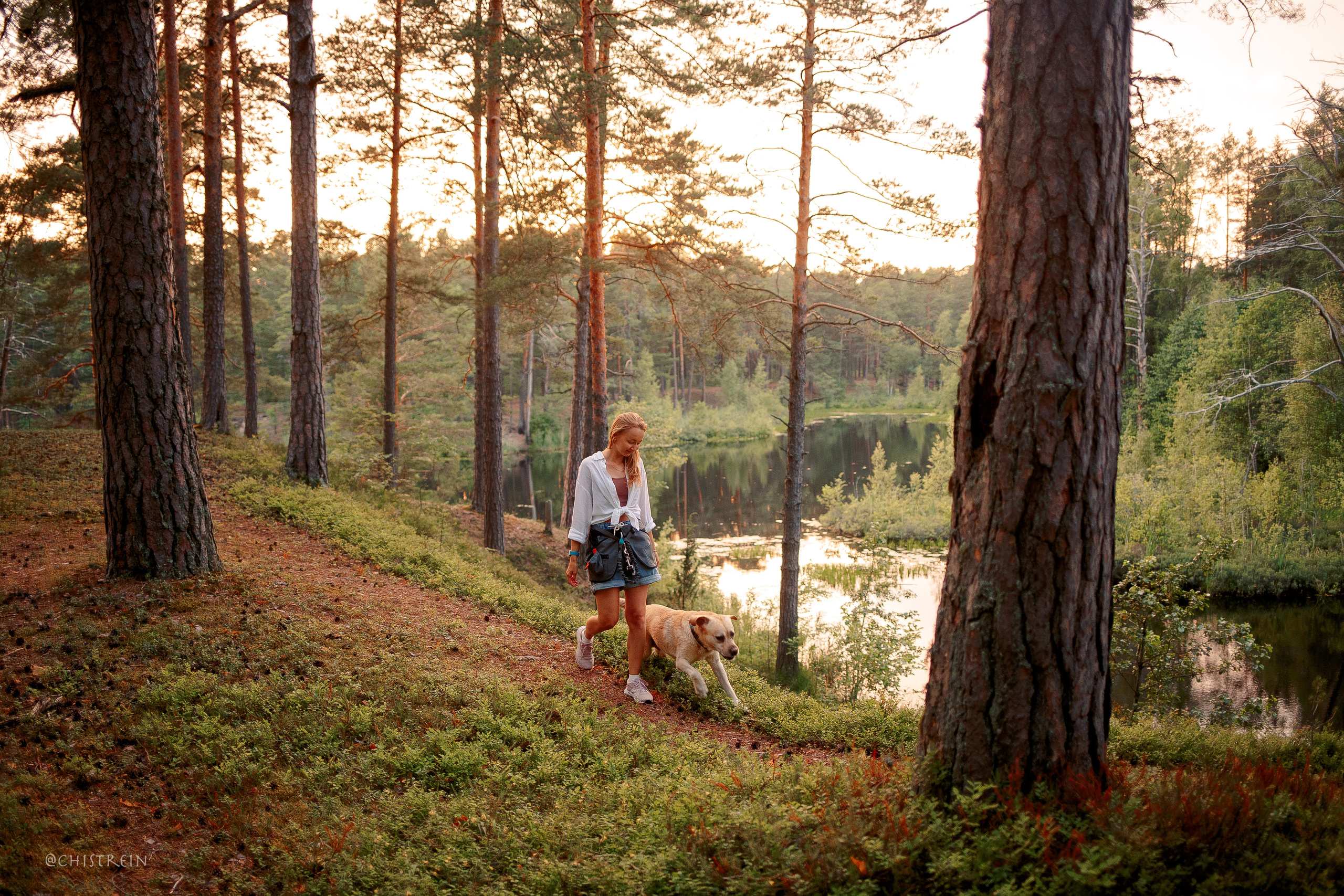Маша и лабрадор Арни. Фотограф-анималист Наталия Чистюхина в г. Сосновый Бор и ЛО