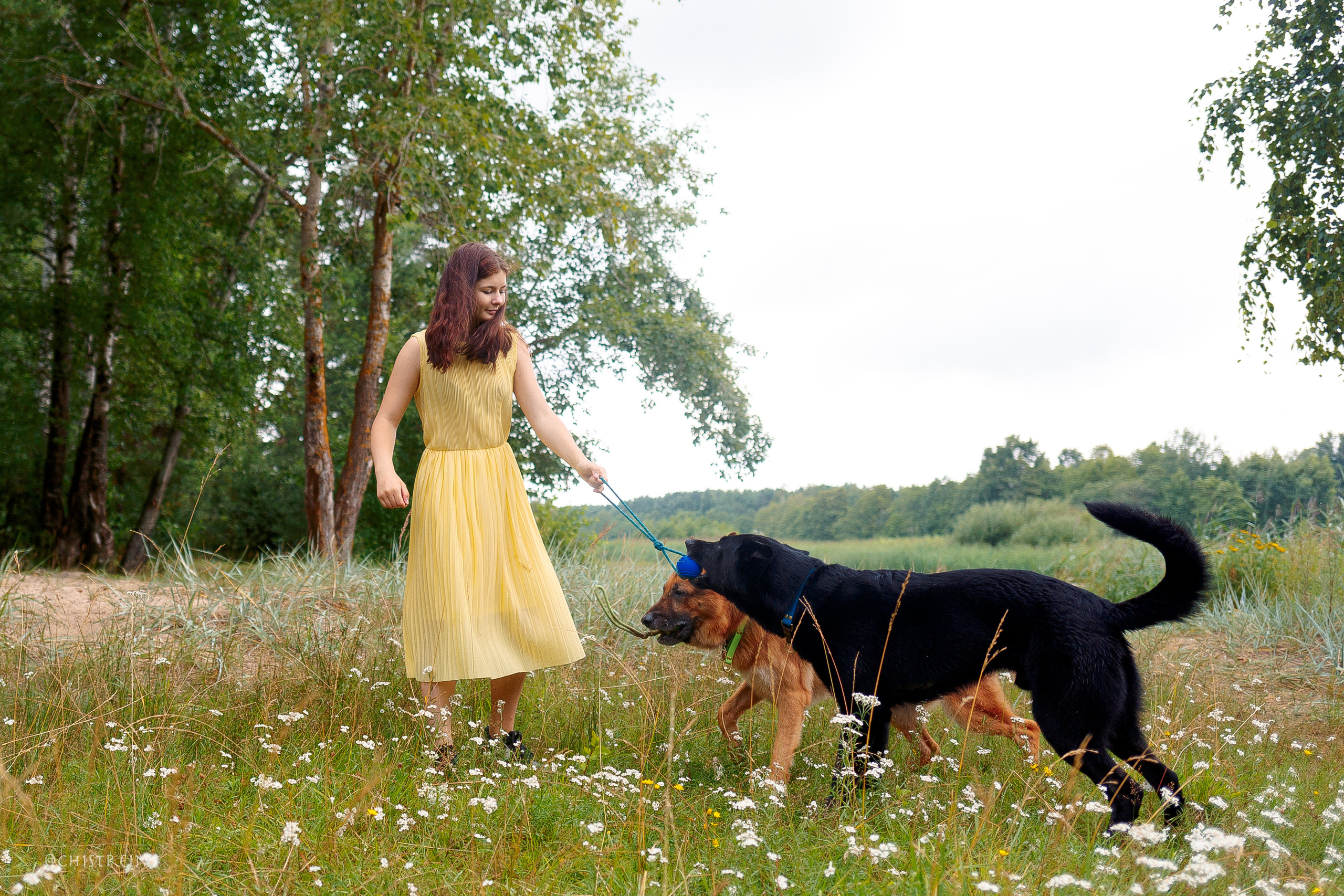 Соня и банда. Фотограф-анималист Наталия Чистюхина в г. Сосновый Бор и ЛО