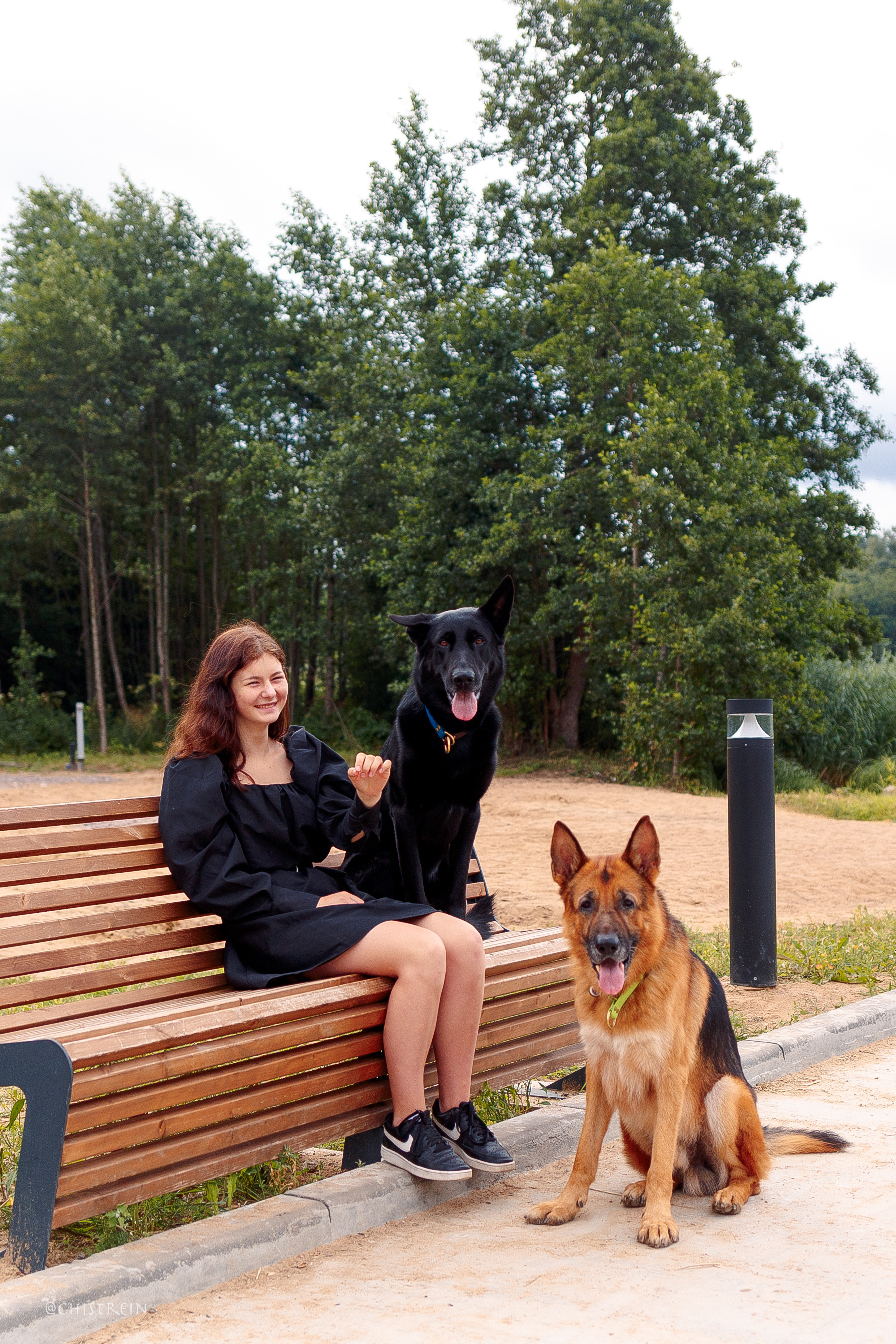 Соня и банда. Фотограф-анималист Наталия Чистюхина в г. Сосновый Бор и ЛО