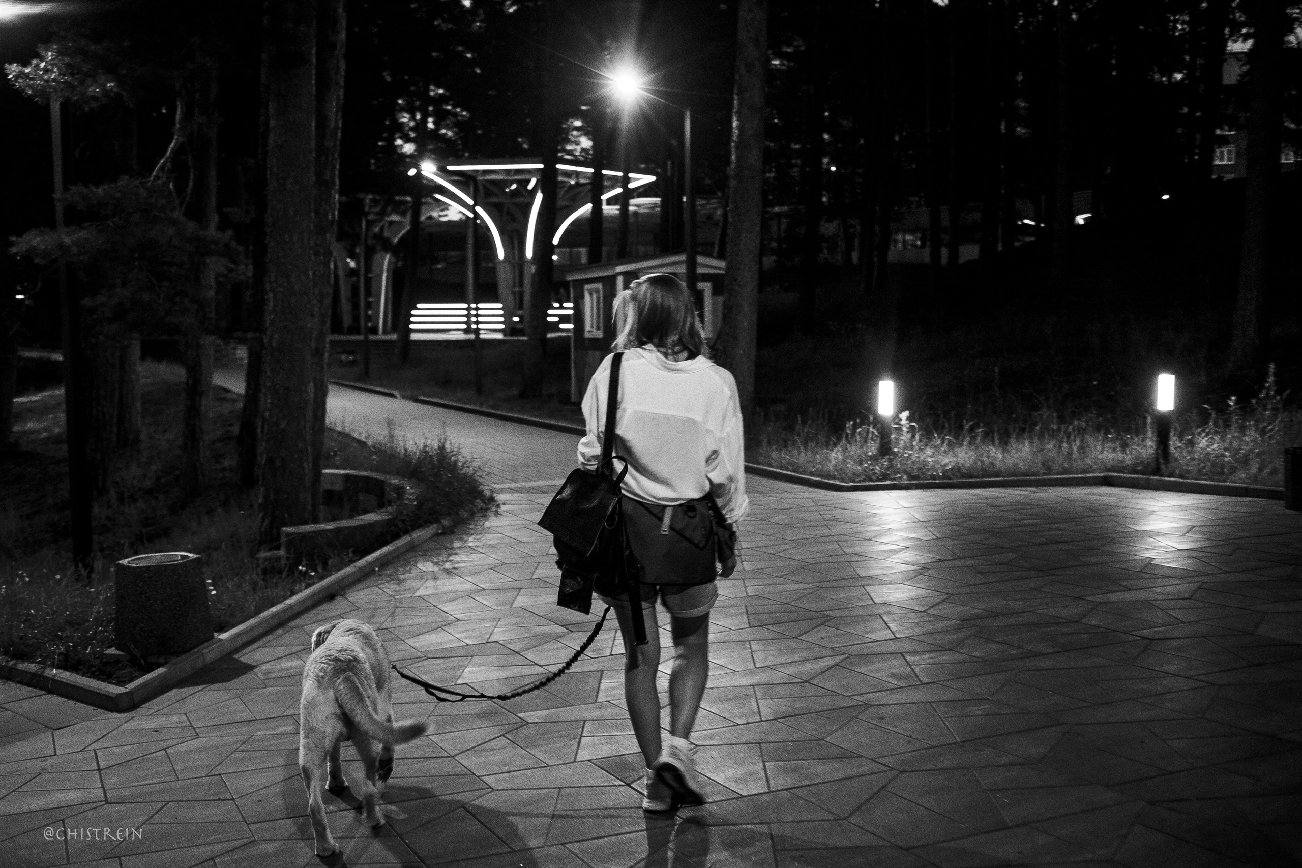 Маша и лабрадор Арни. Фотограф-анималист Наталия Чистюхина в г. Сосновый Бор и ЛО