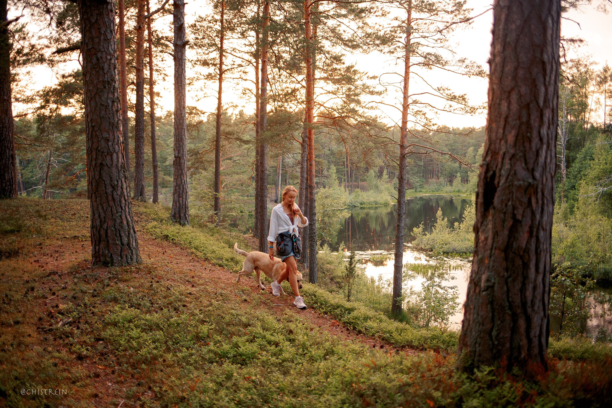 Маша и лабрадор Арни. Фотограф-анималист Наталия Чистюхина в г. Сосновый Бор и ЛО