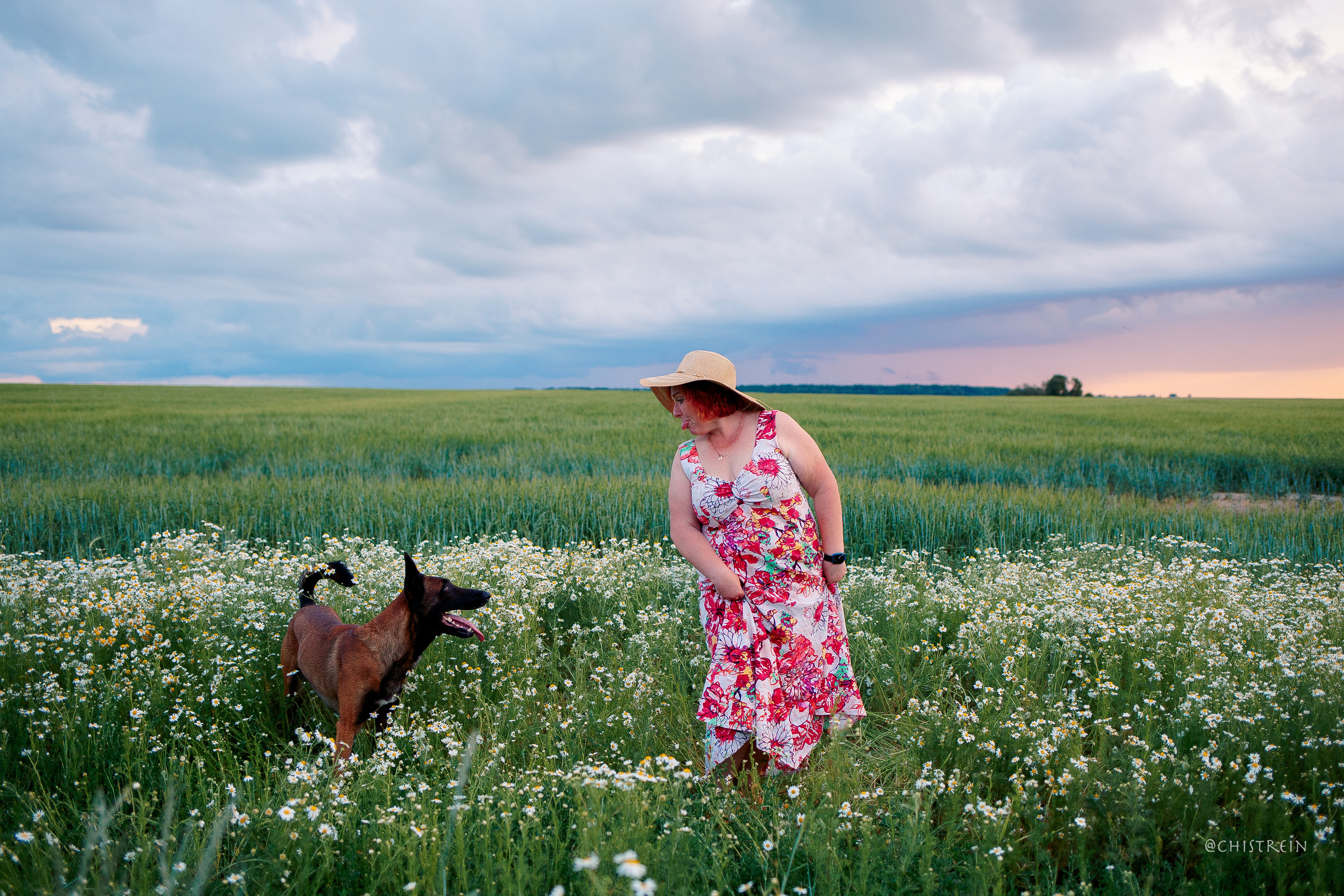 Лена и Раш встречают закат в полях. Фотограф-анималист Наталия Чистюхина в г. Сосновый Бор и ЛО