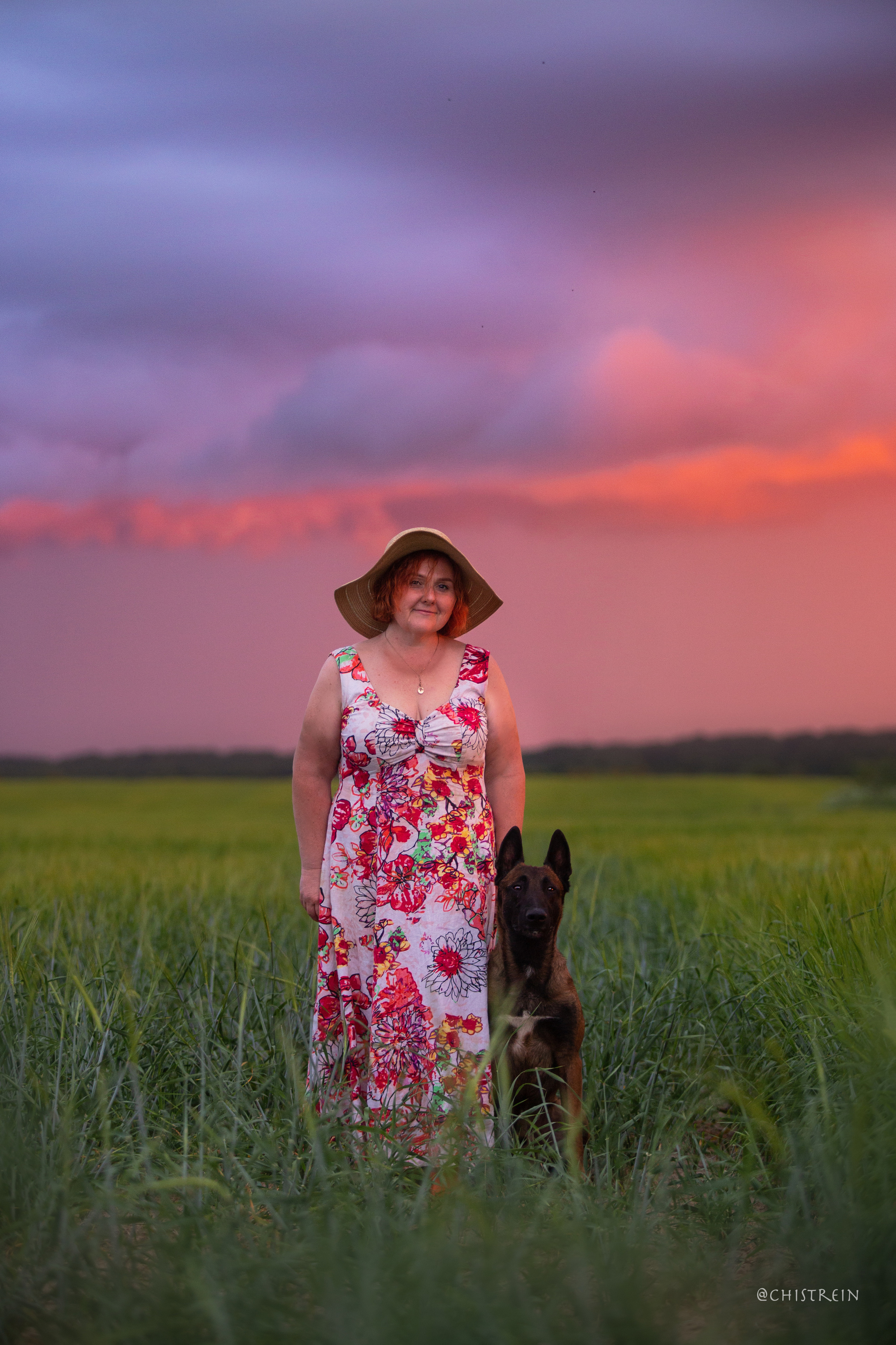 Лена и Раш встречают закат в полях. Фотограф-анималист Наталия Чистюхина в г. Сосновый Бор и ЛО