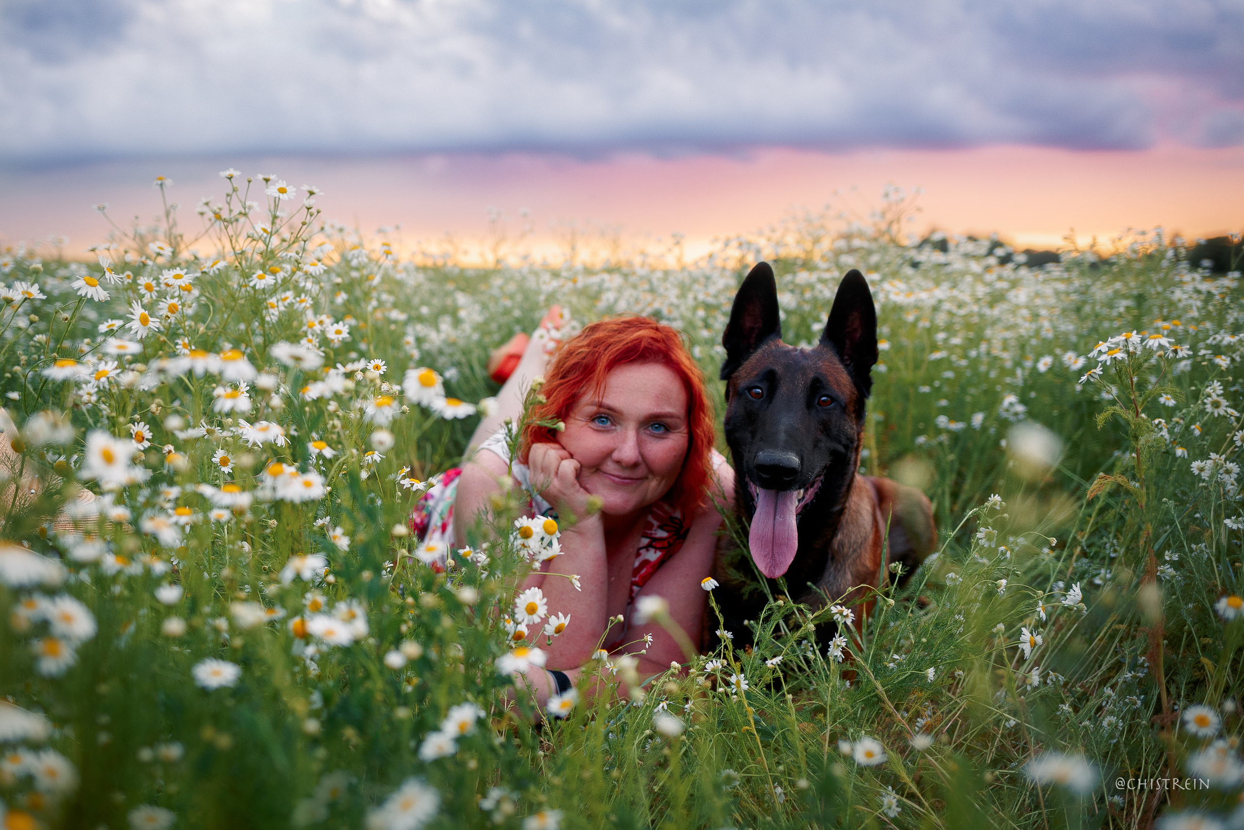 Лена и Раш встречают закат в полях. Фотограф-анималист Наталия Чистюхина в г. Сосновый Бор и ЛО