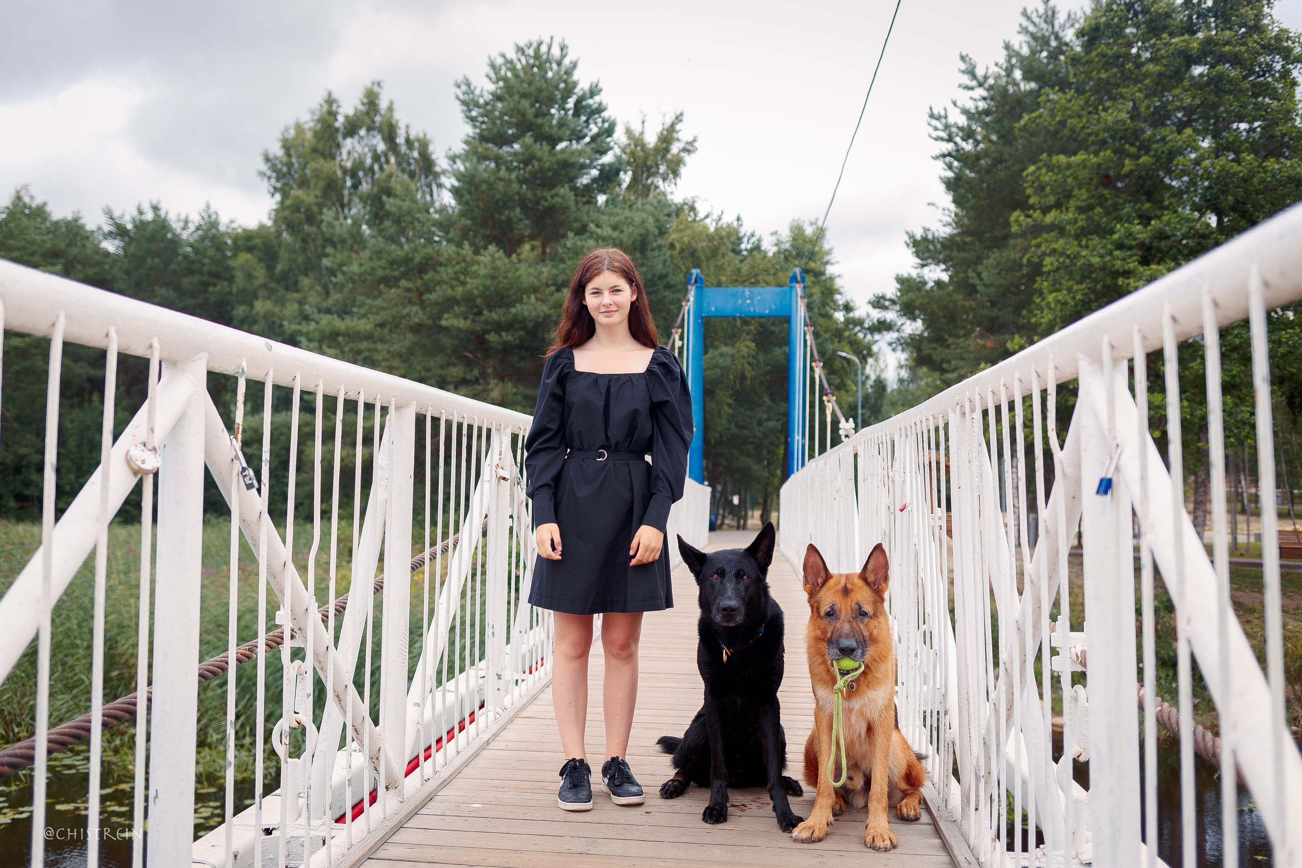 Соня и банда. Фотограф-анималист Наталия Чистюхина в г. Сосновый Бор и ЛО