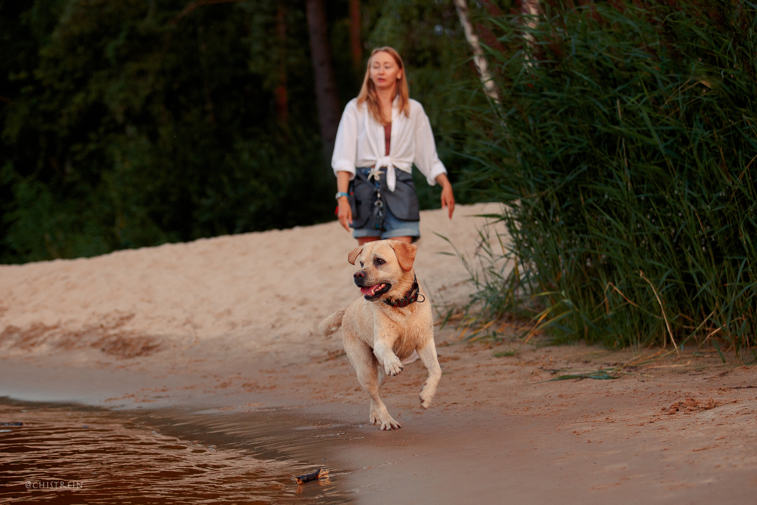 Маша и лабрадор Арни. Фотограф-анималист Наталия Чистюхина в г. Сосновый Бор и ЛО