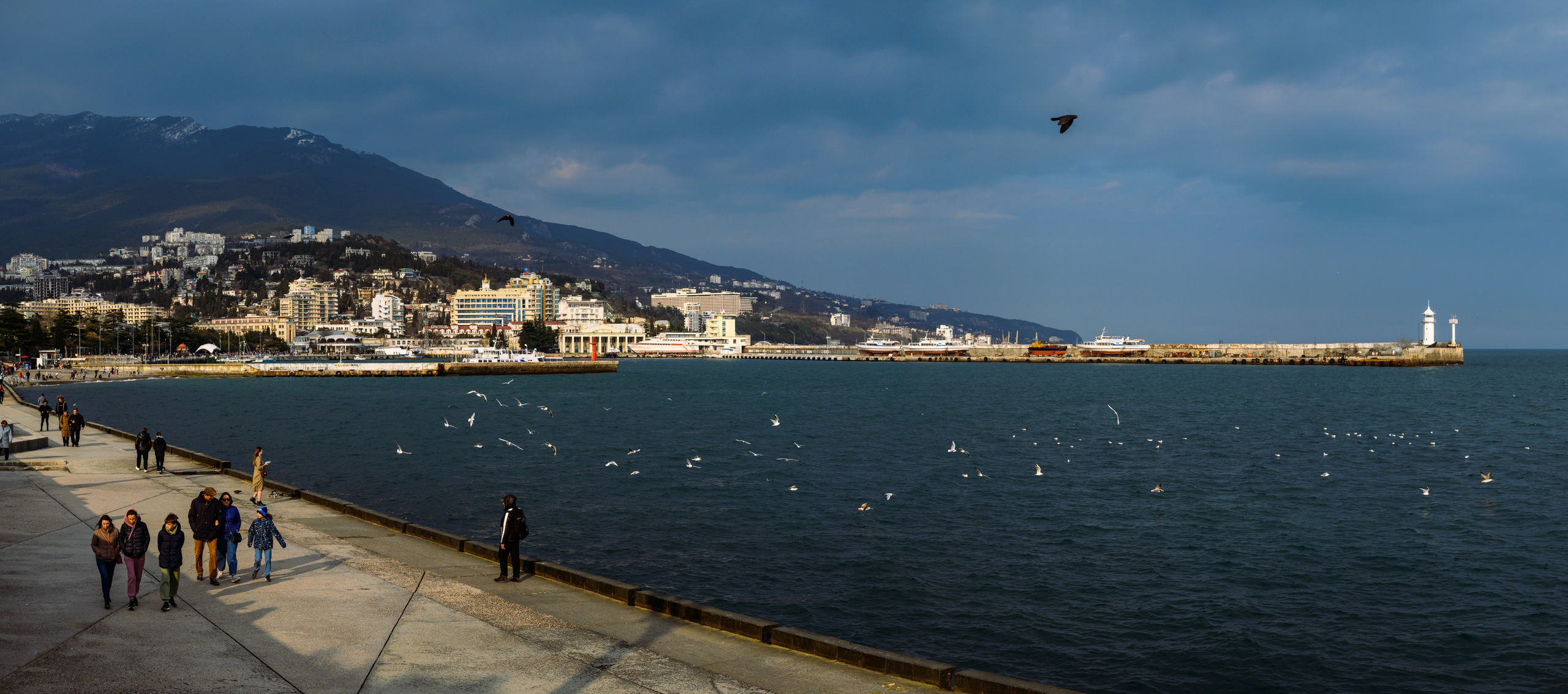 Dimitri Bakhtadze, single works photos. Dimitri Bakhtadze photographer