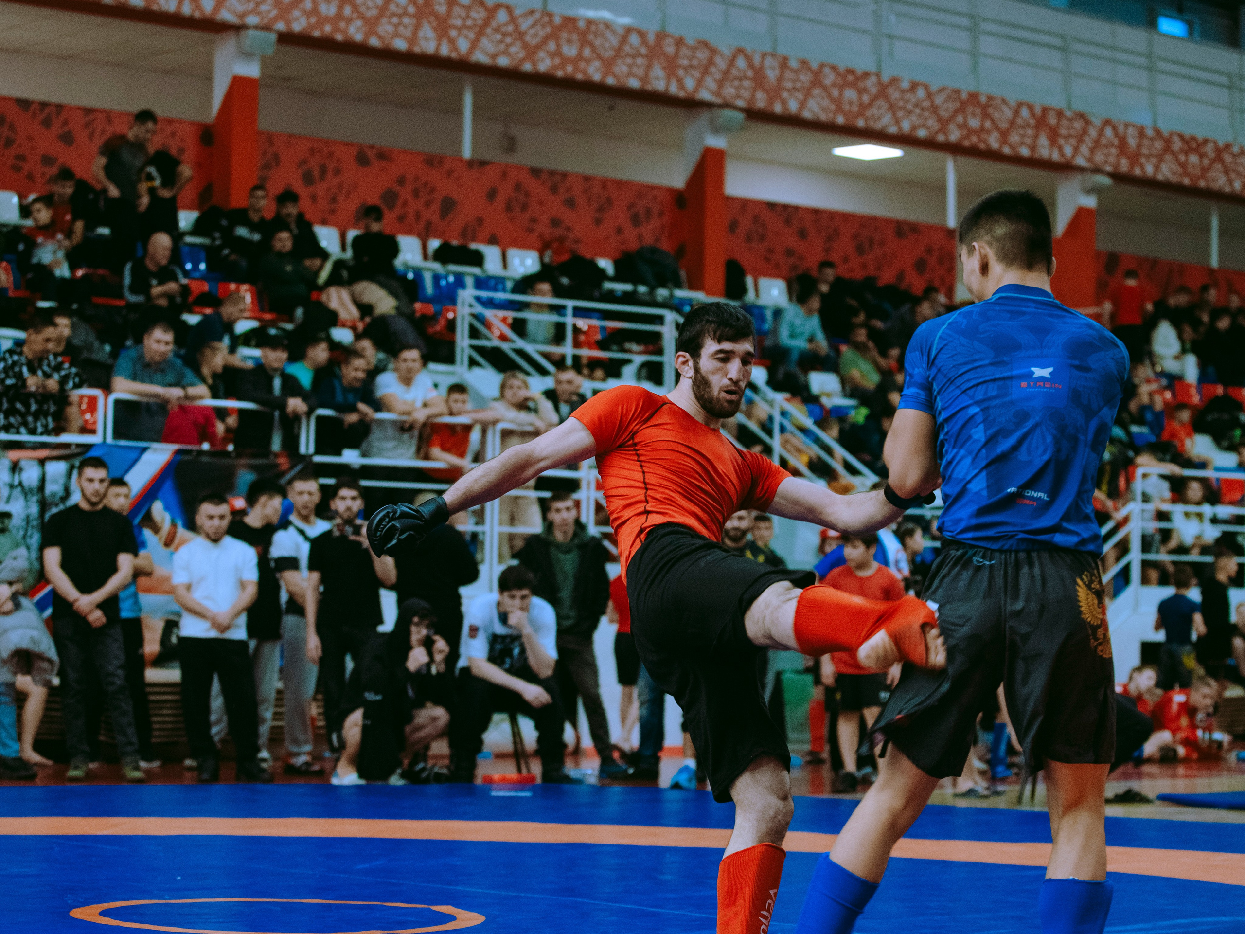 Кубок России по спортивной борьбе панкратион `23. Портретный фотограф в Москве Дарья Цезария