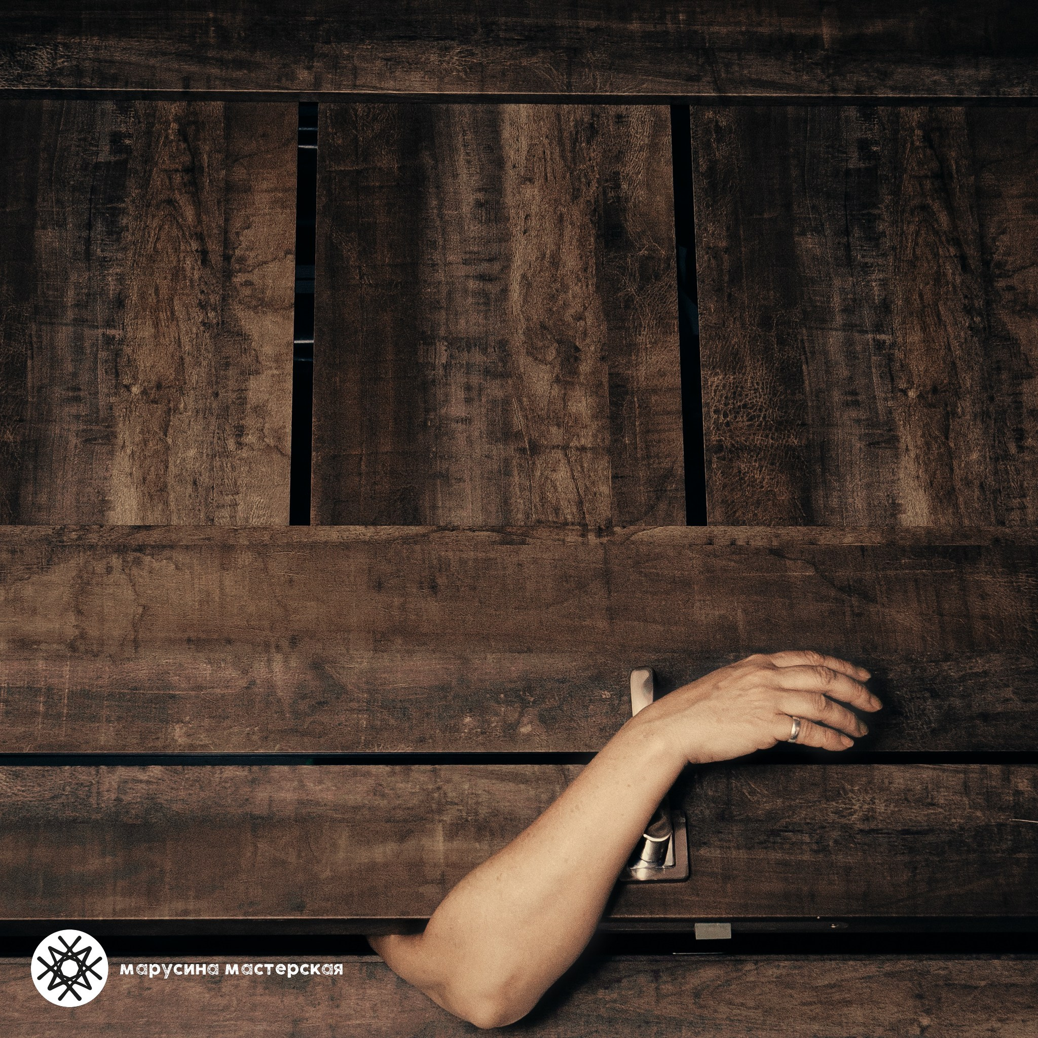 Елена Патрина