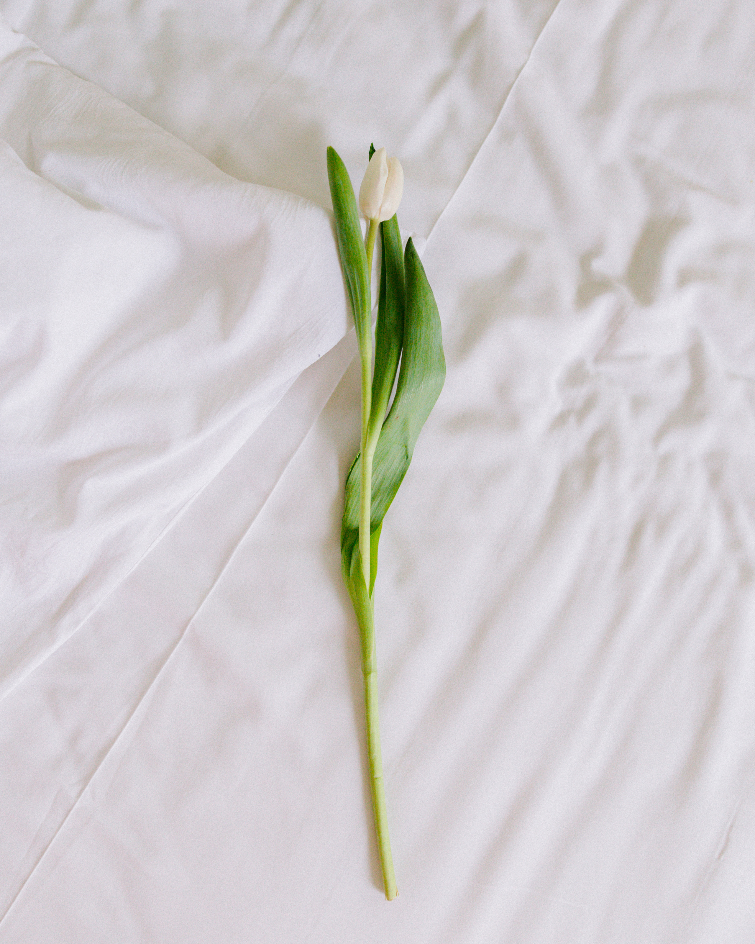 Свадебный Фотограф Москва Нижний Новгород | Артём и Анна Тороповы