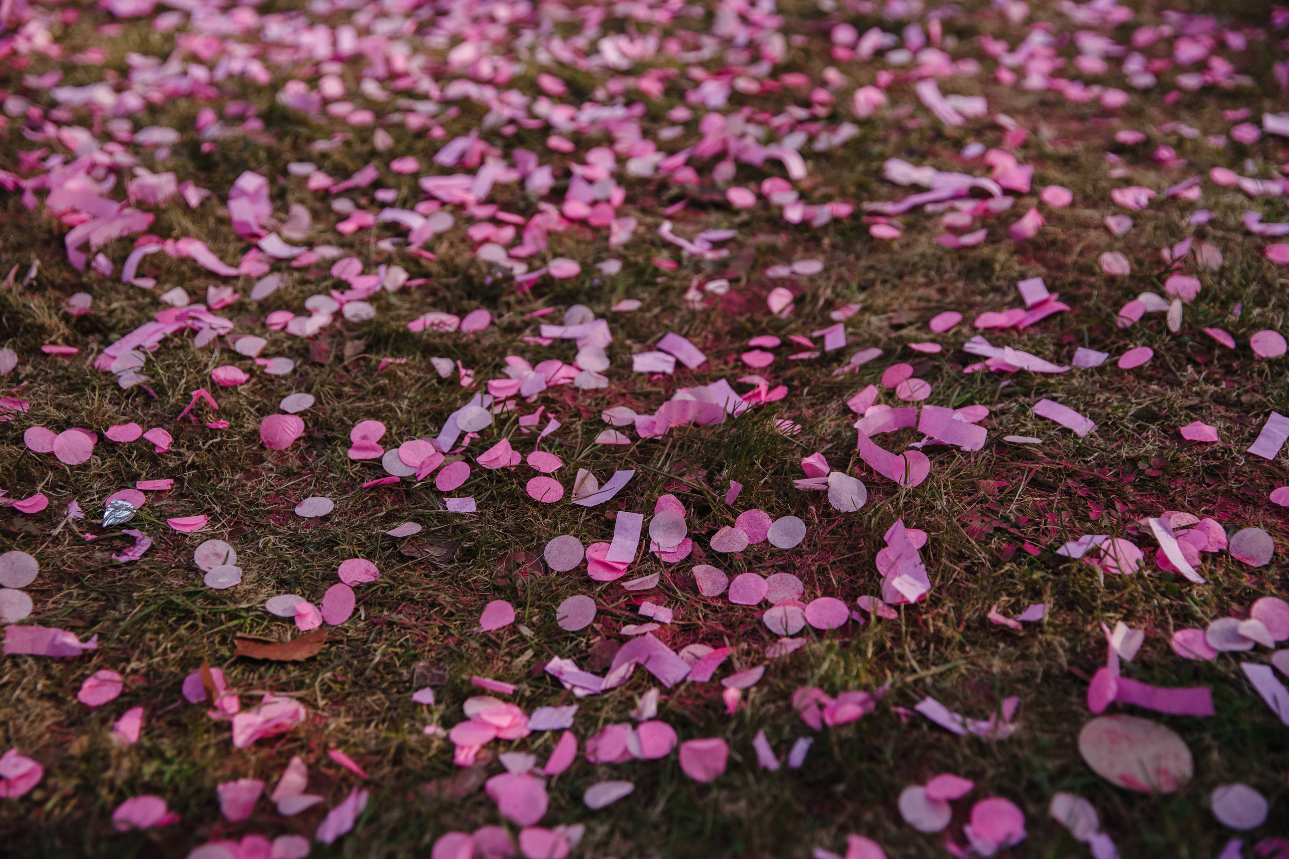 Gender Party Виолетты и Дениса. Свадебный фотограф Фадеева Алёна