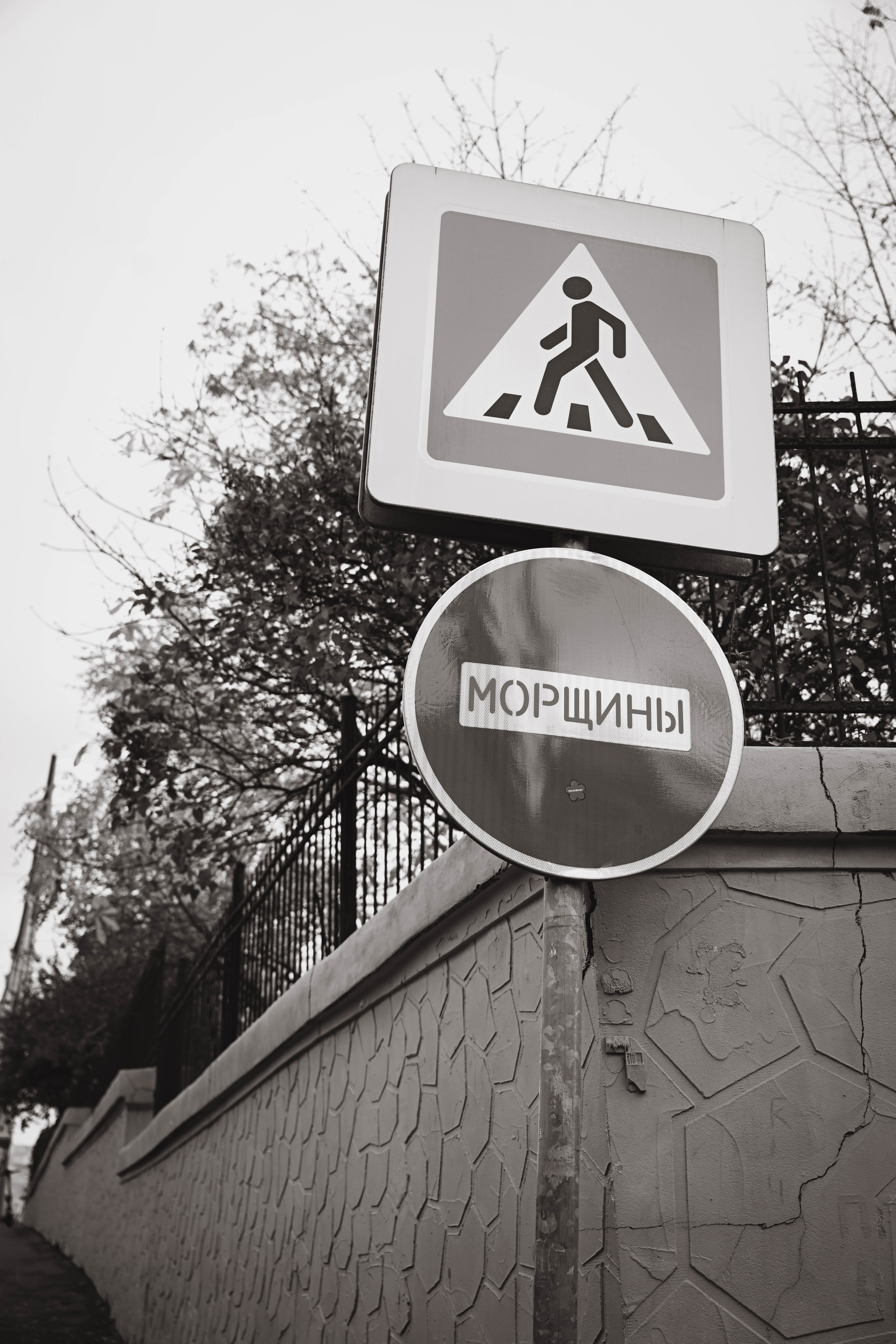 Прогулка Вика. Семейный фотограф в Москве Люберцах Ирина Вронская