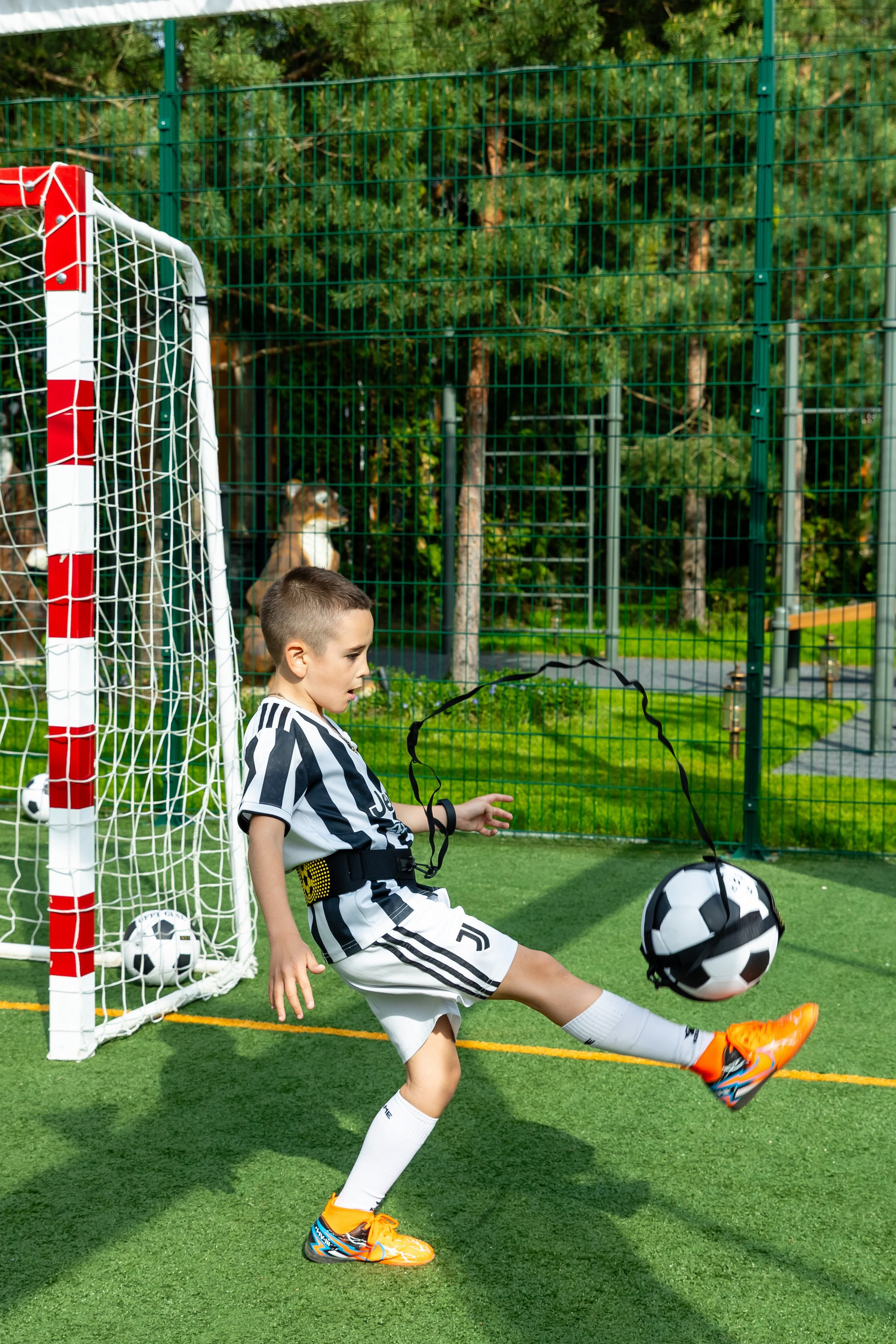 Артём 7 лет. Татьяна Чернышова свадебный фотограф Москва