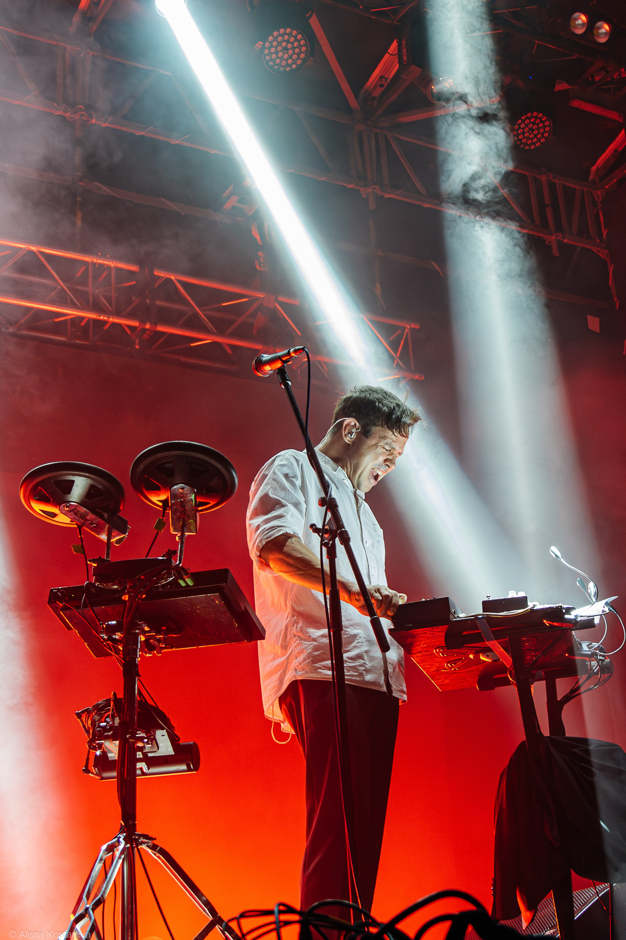 Dolphin. Алена Костарева. Фотограф в Ростове-на-Дону