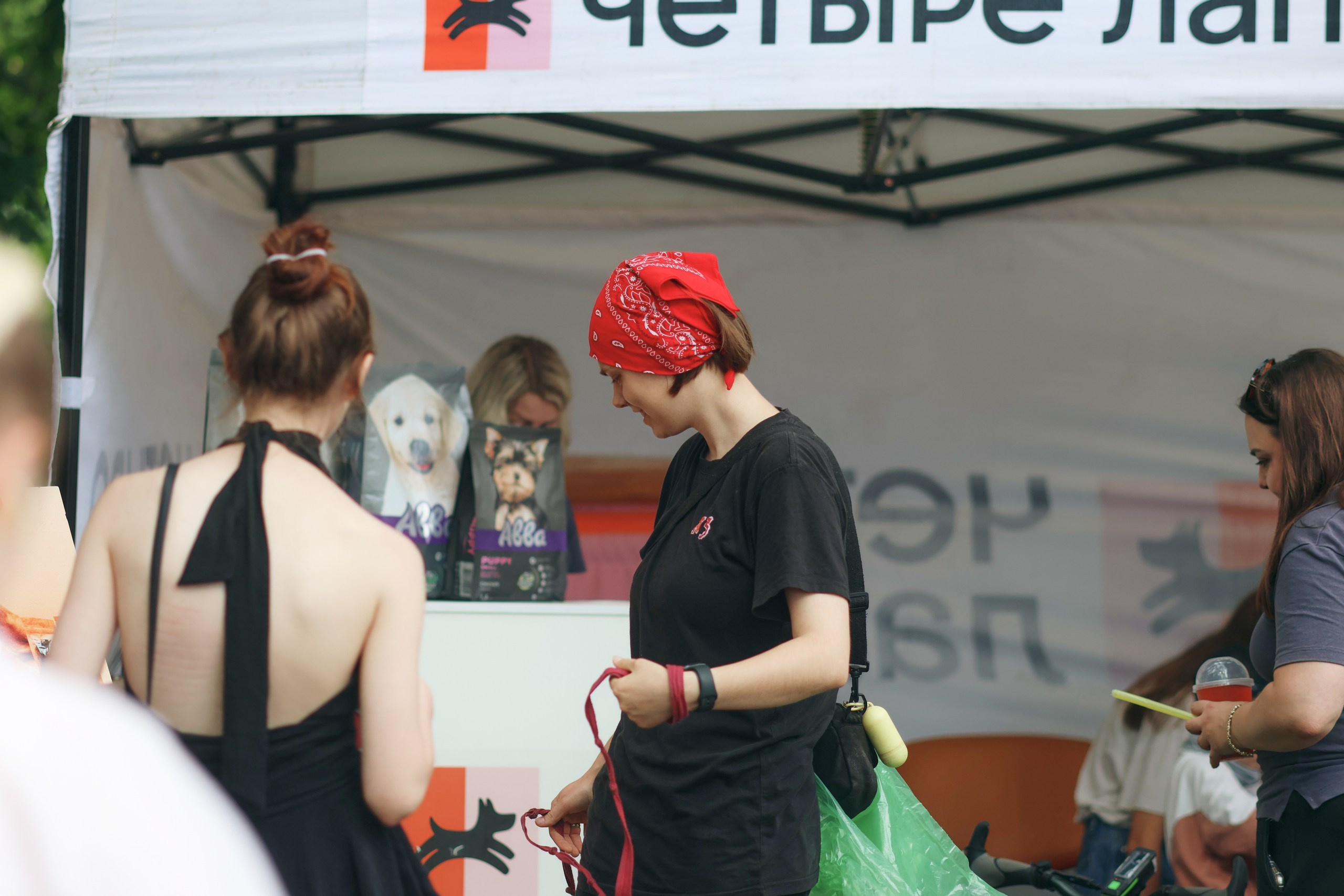 Четыре Лапы. Свадебный и репортажный фотограф Дмитрий Кононенко