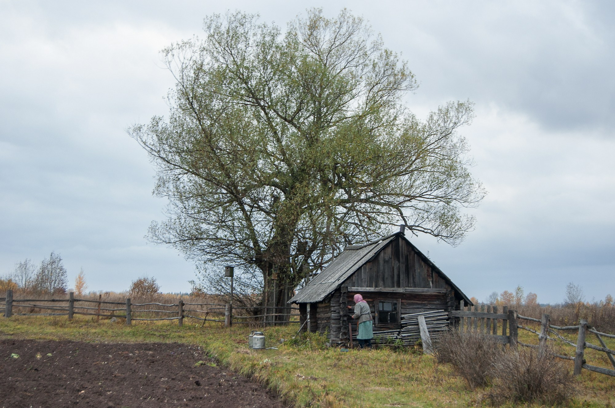 Нить Паулино. Фотограф Юлия Близнецова