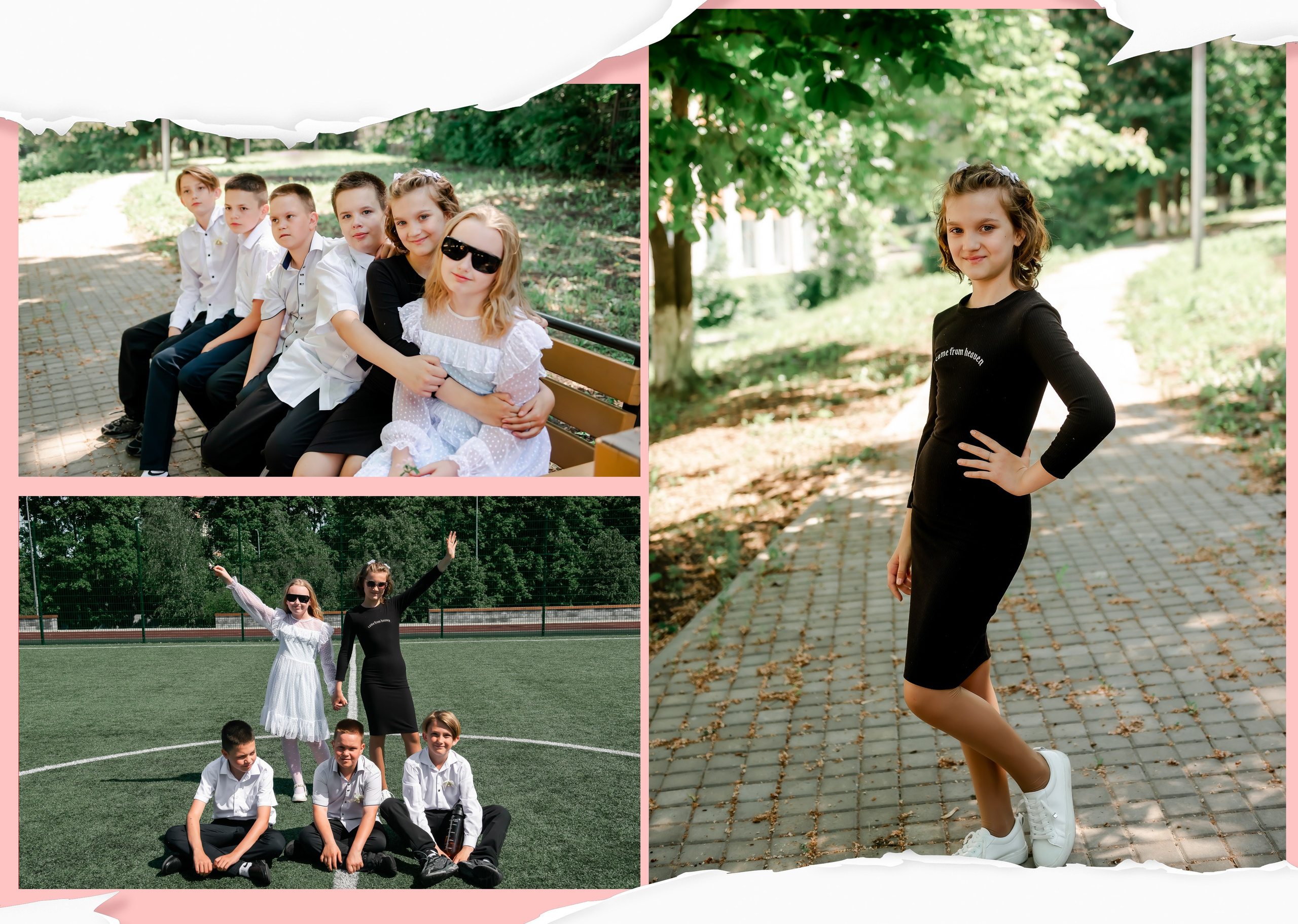 «Розовая и синяя бумага 2025». ALBUMIA