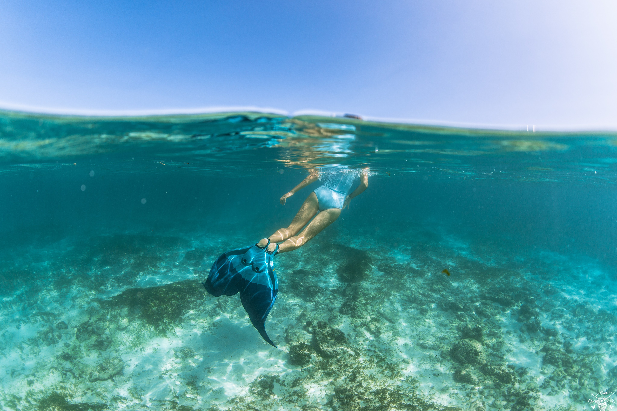 Underwater Photos. Лайфстайл Фотограф и Профессиональный Водный Фотограф в Москве