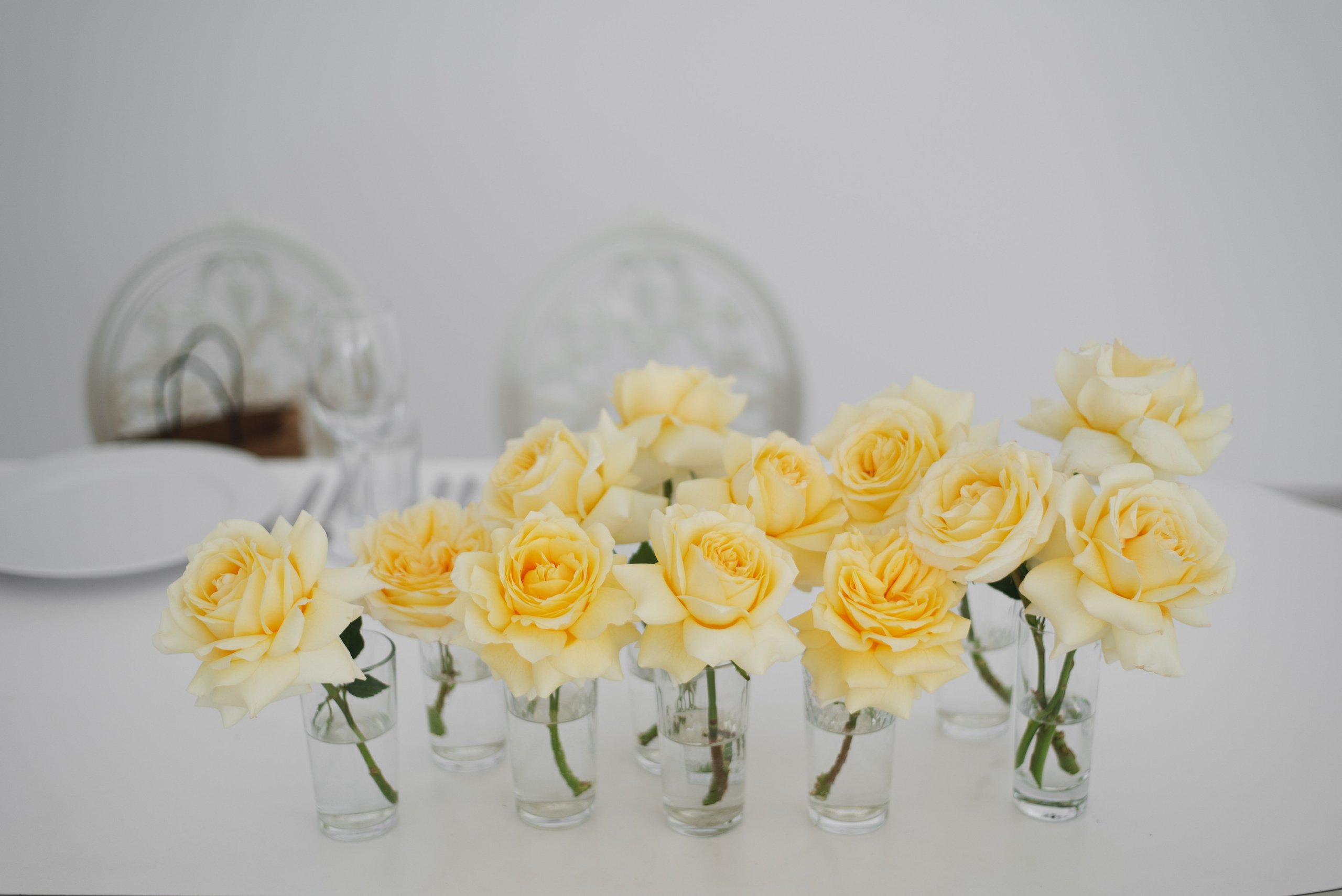 Женя и Маша. Свадебный фотограф Анастасия Бударина