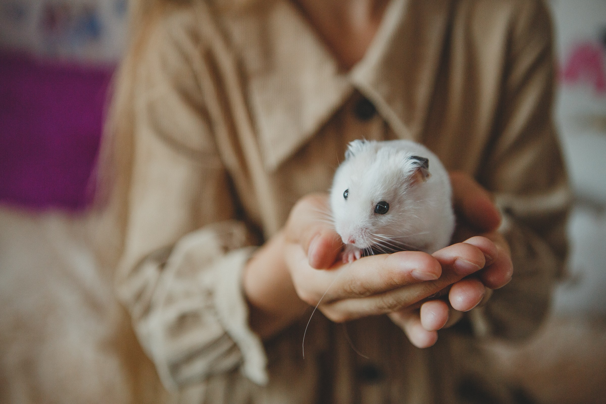 Аршиновы. Семейный и портретный фотограф в Санкт-Петербурге
