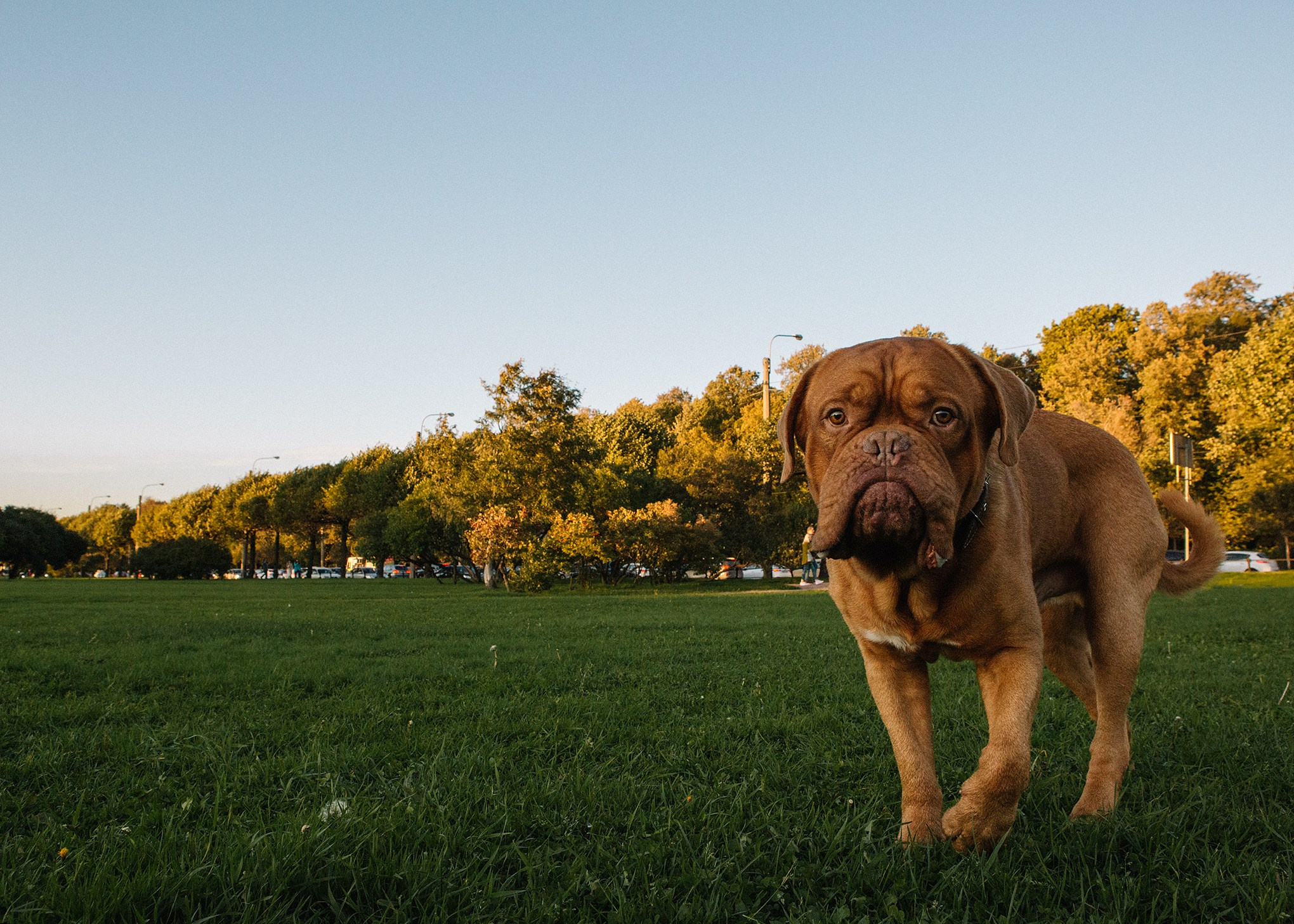 Юлия и Макс. Семейный и портретный фотограф в Санкт-Петербурге