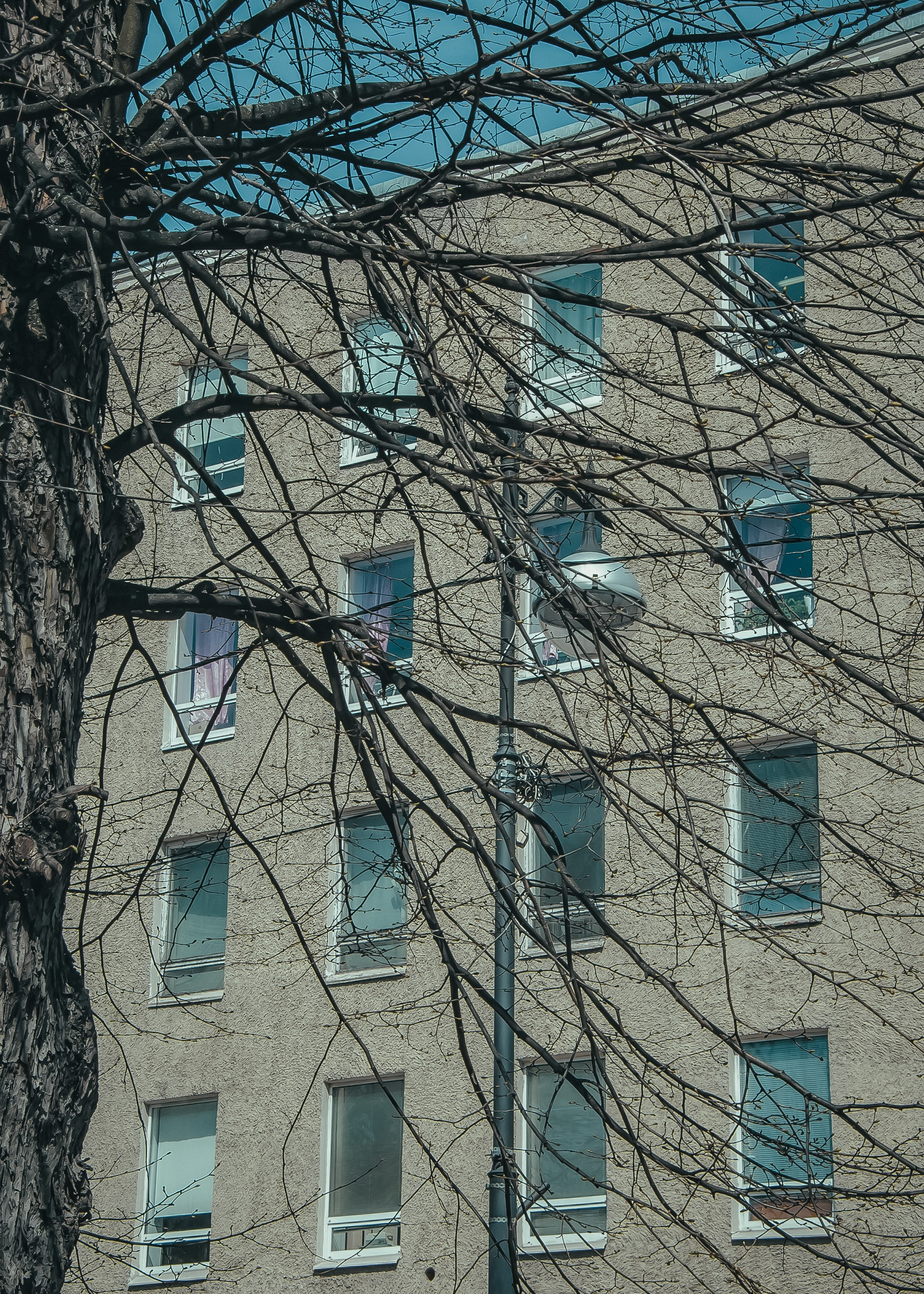 Выборг. Портретный фотограф DanilNabody