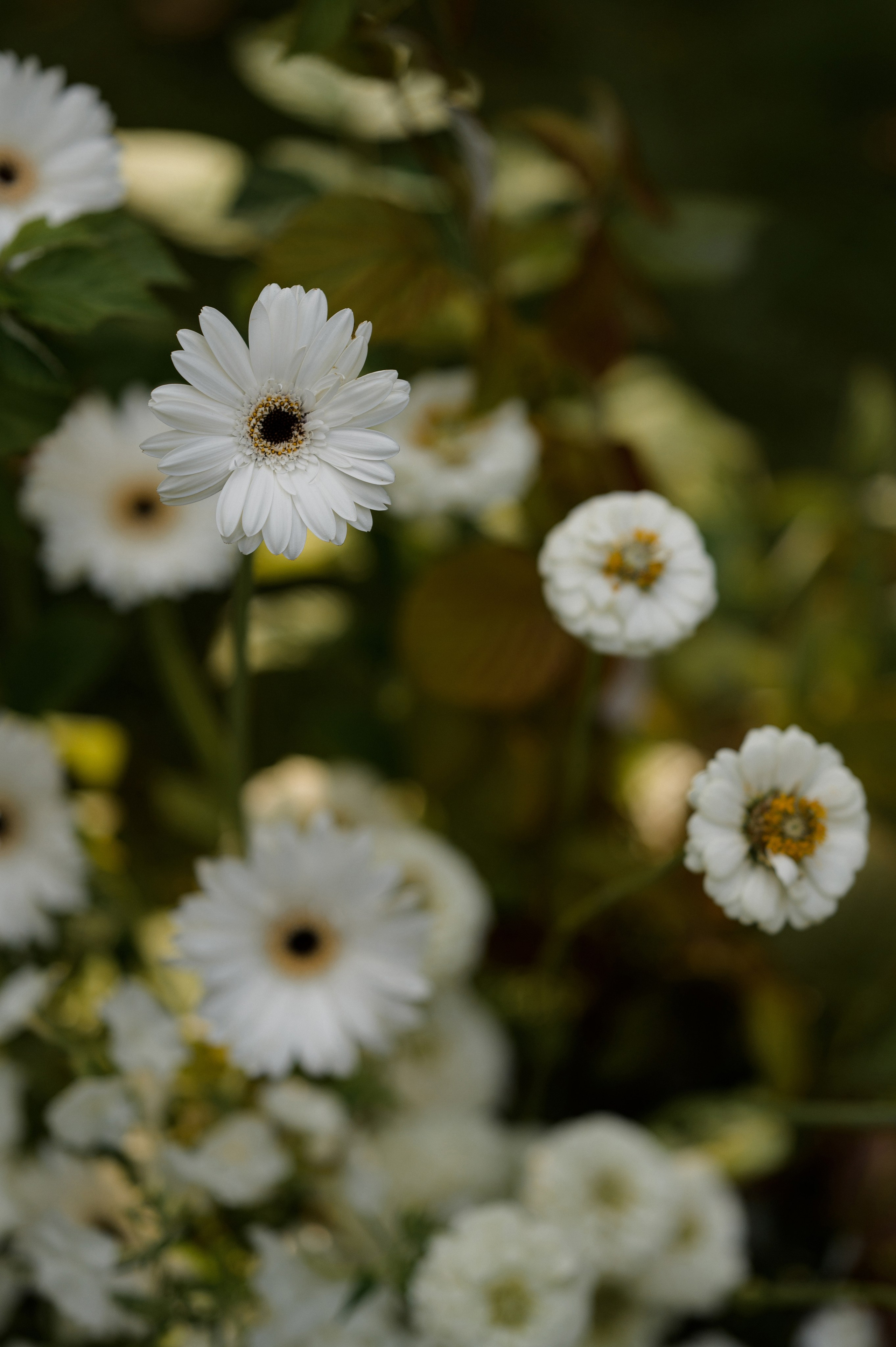 Вова и Поля 11.09.23. VENSKAYA WEDDING & EVENT PLANNER