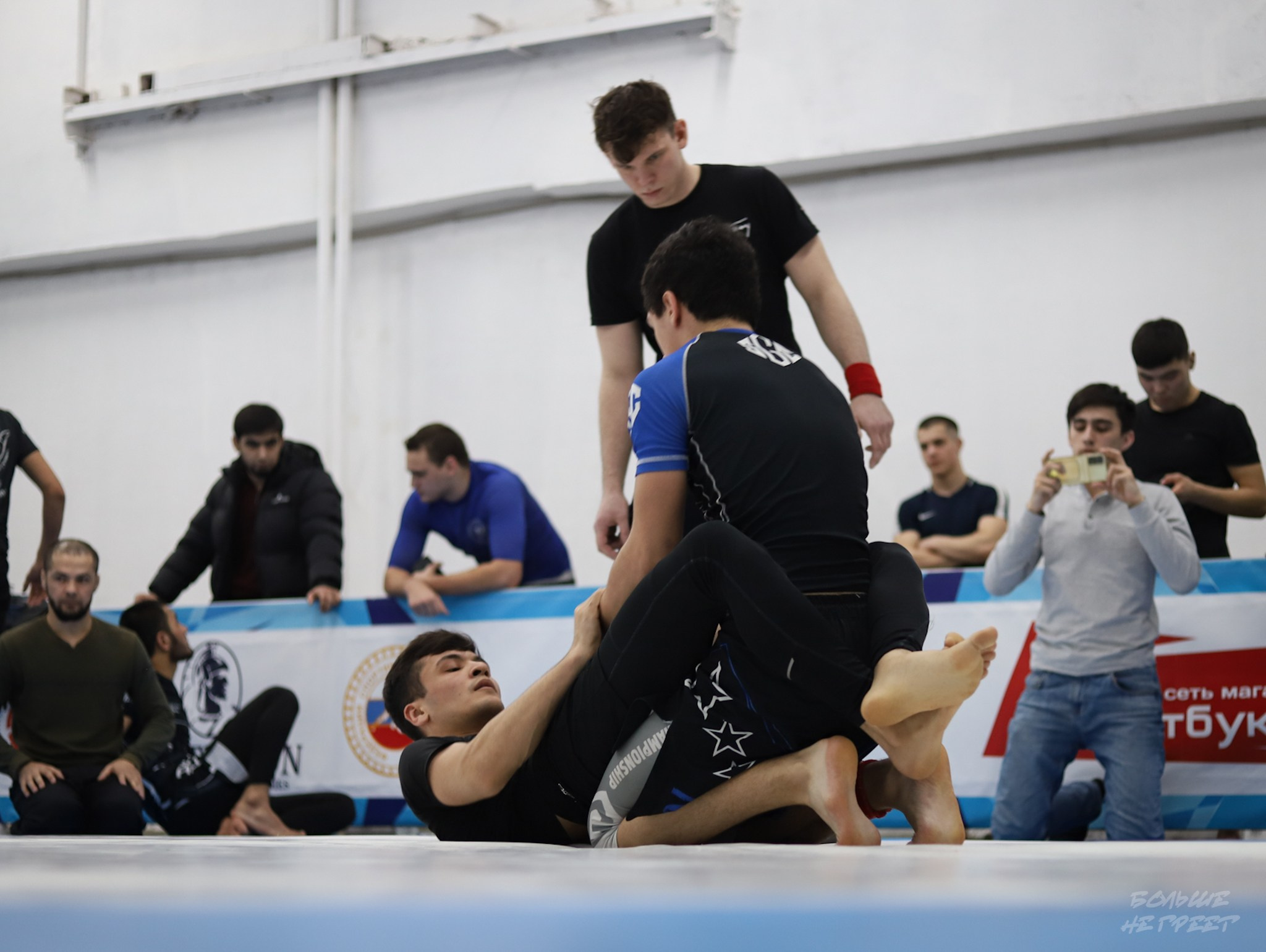 GORILLA PRIDE CUP. Больше не греет