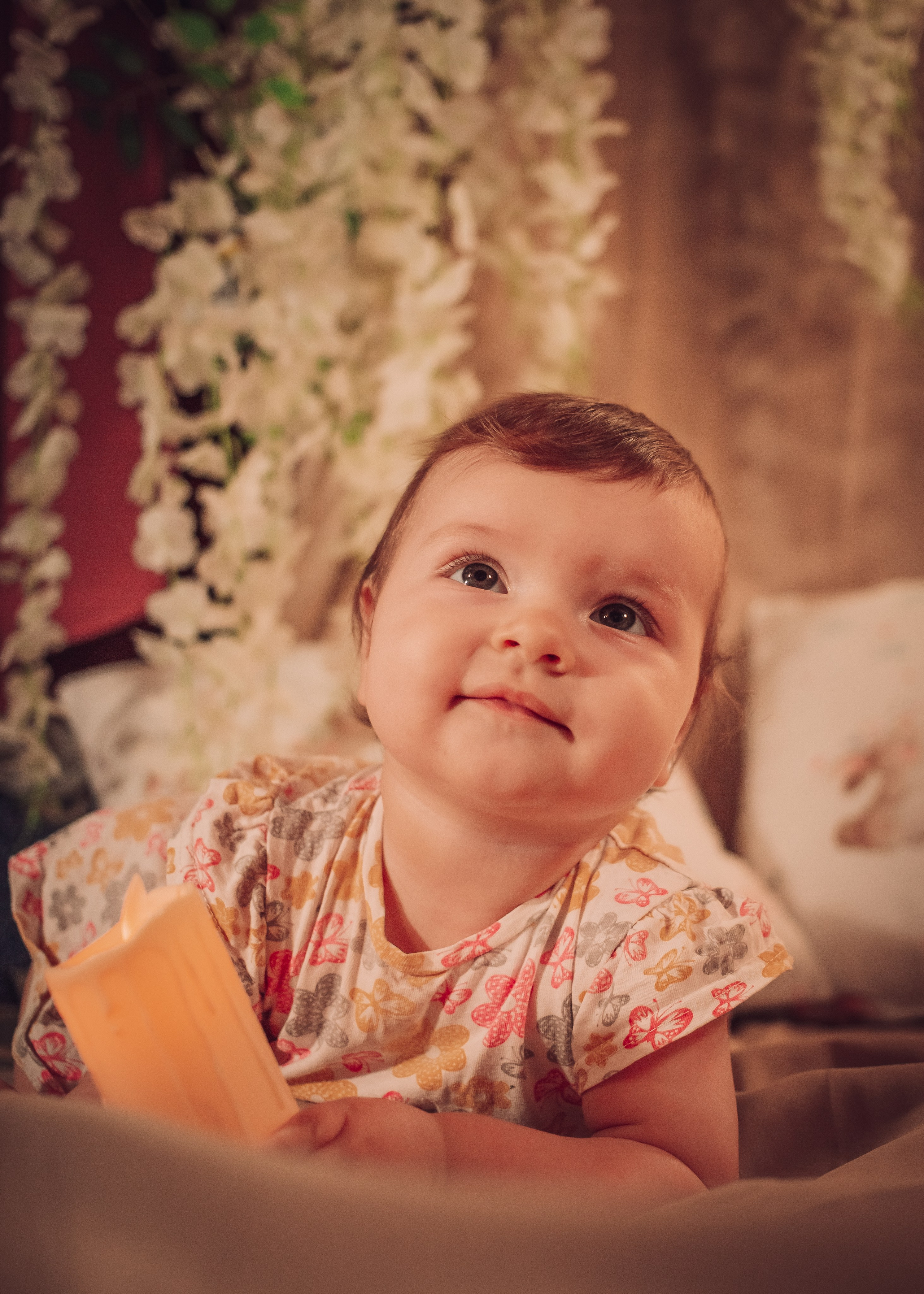 Anastasia. Фотограф Зеленоград, Москва