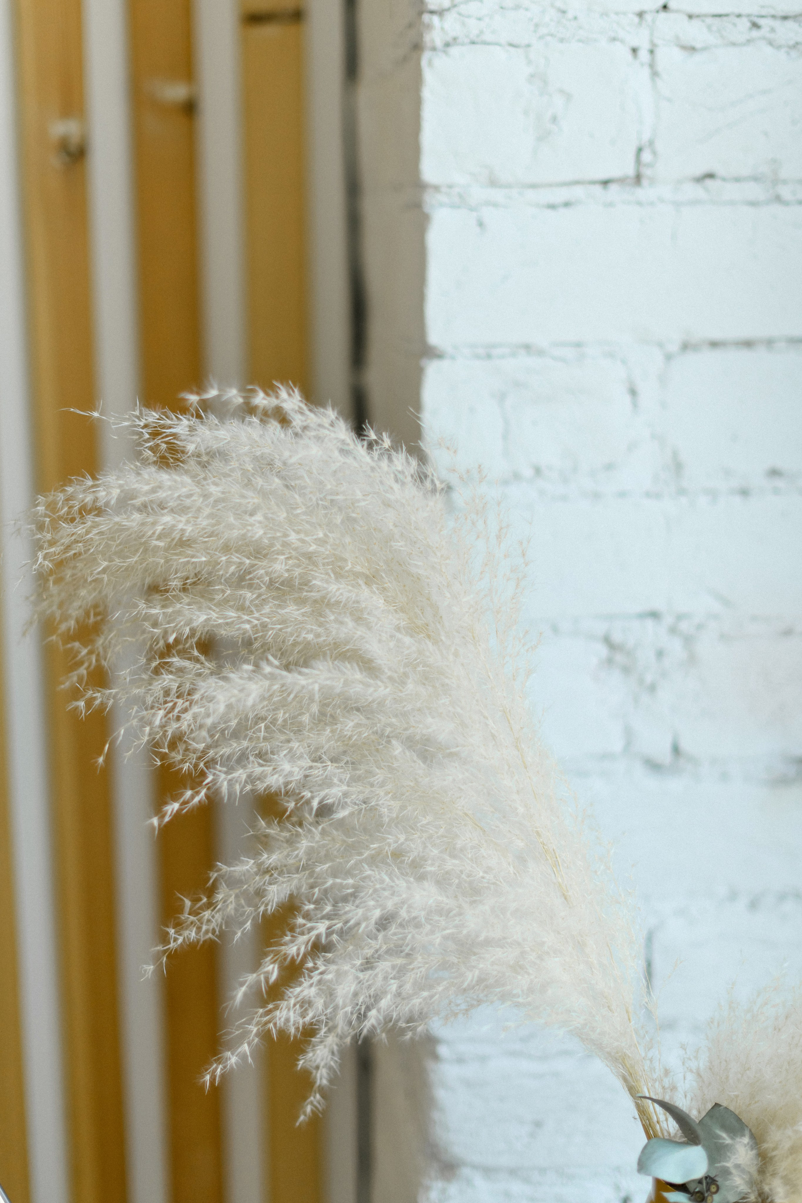 Лазерная эпиляция. Свадебный фотограф в Санкт-Петербурге София Шубик