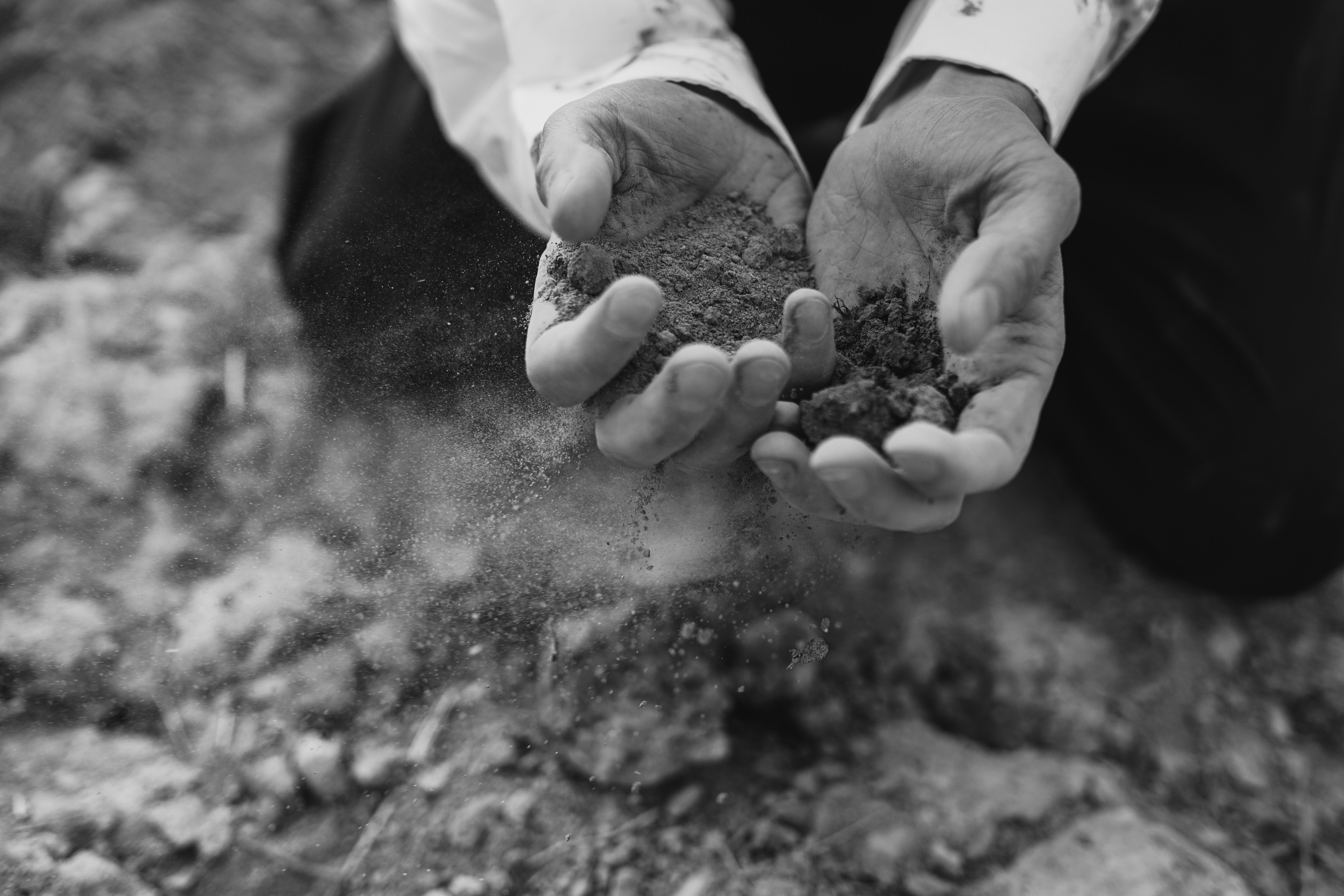 Марк. Фотограф в Калининграде Дмитрий Мишин
