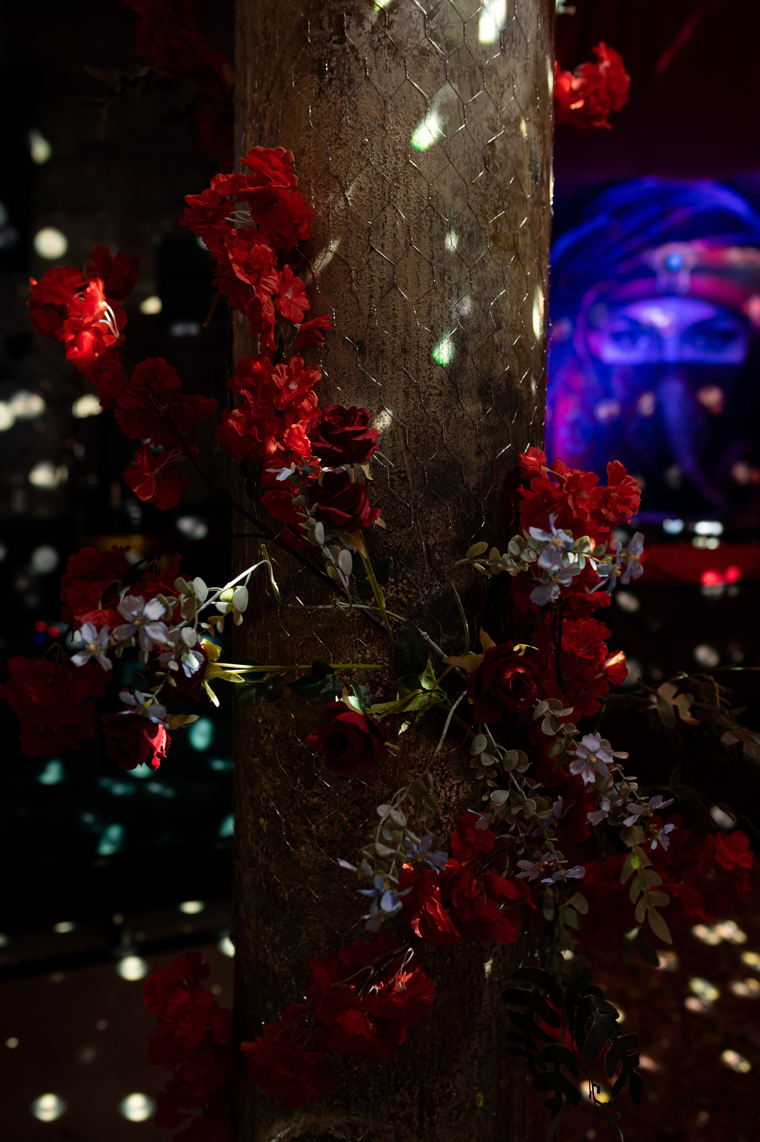 Проект: Арт богемная выставка. Свадебный фотограф