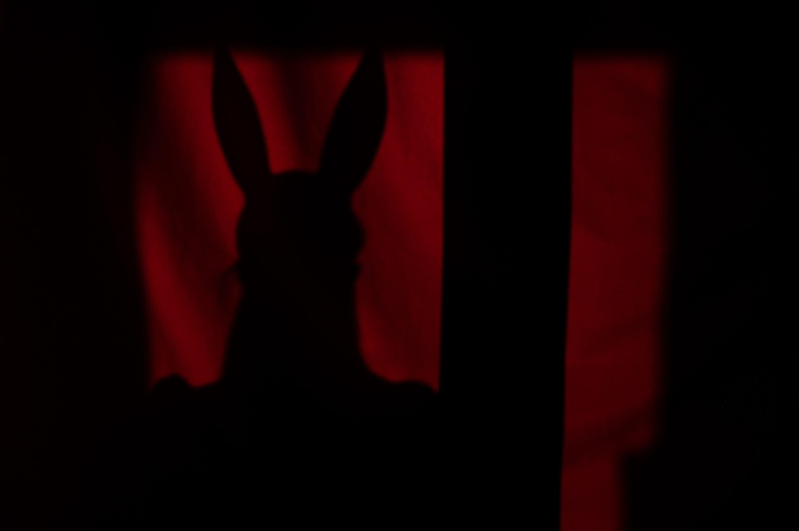 Проект: Арт богемная выставка. Свадебный фотограф