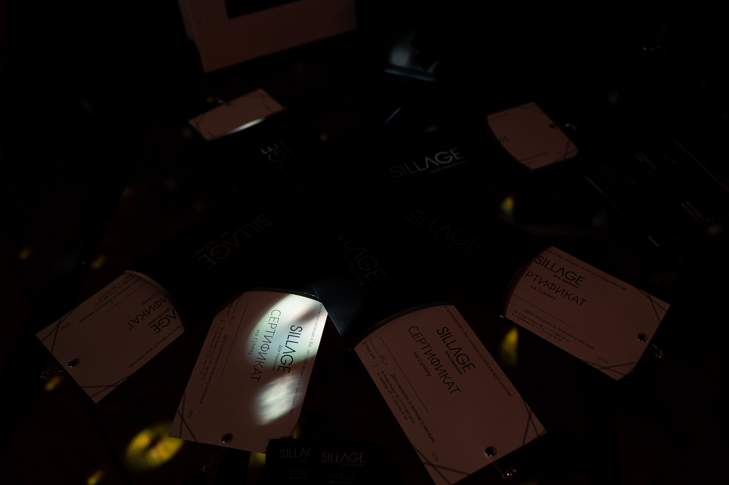 Проект: Арт богемная выставка. Свадебный фотограф