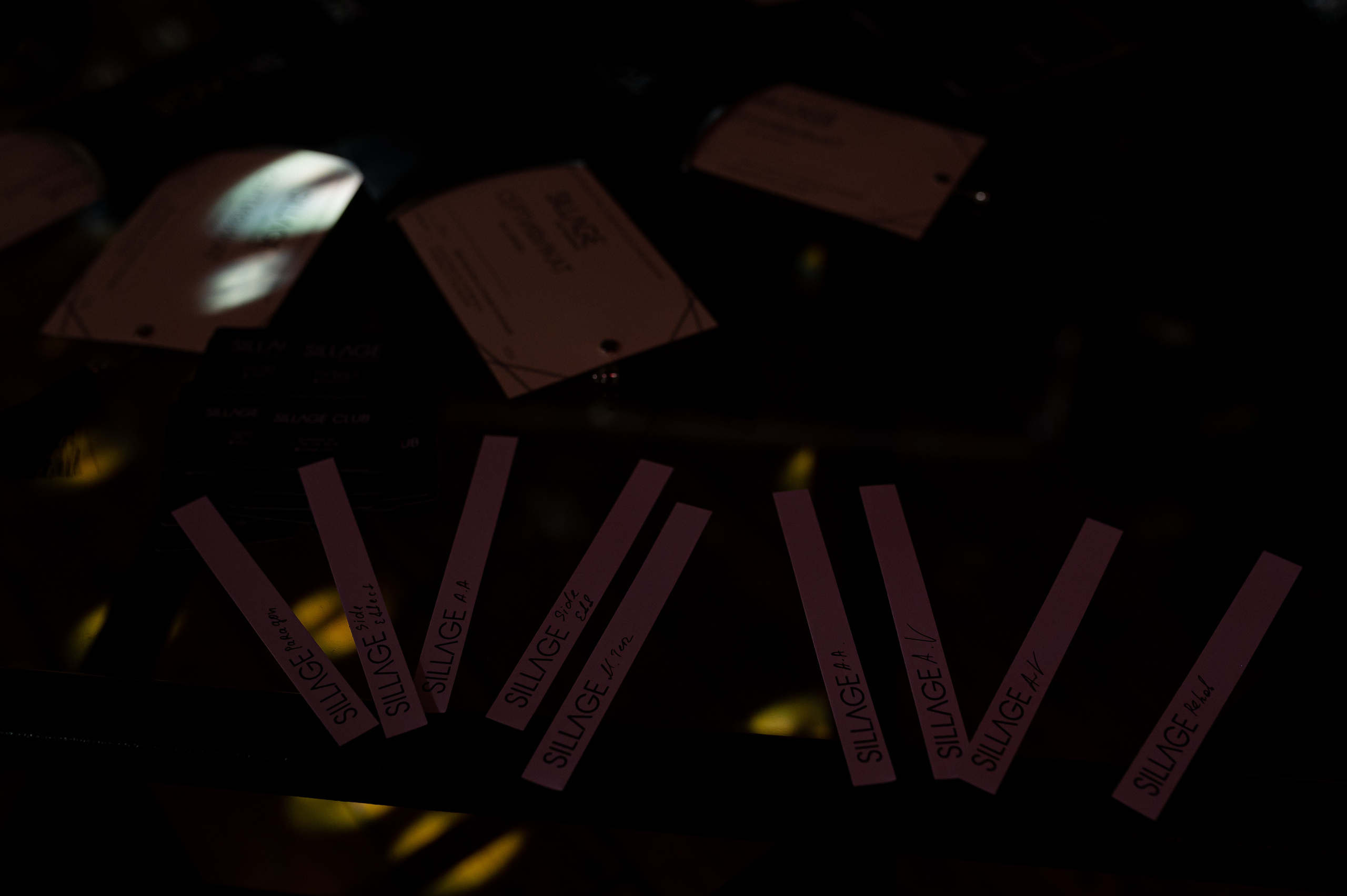 Проект: Арт богемная выставка. Свадебный фотограф