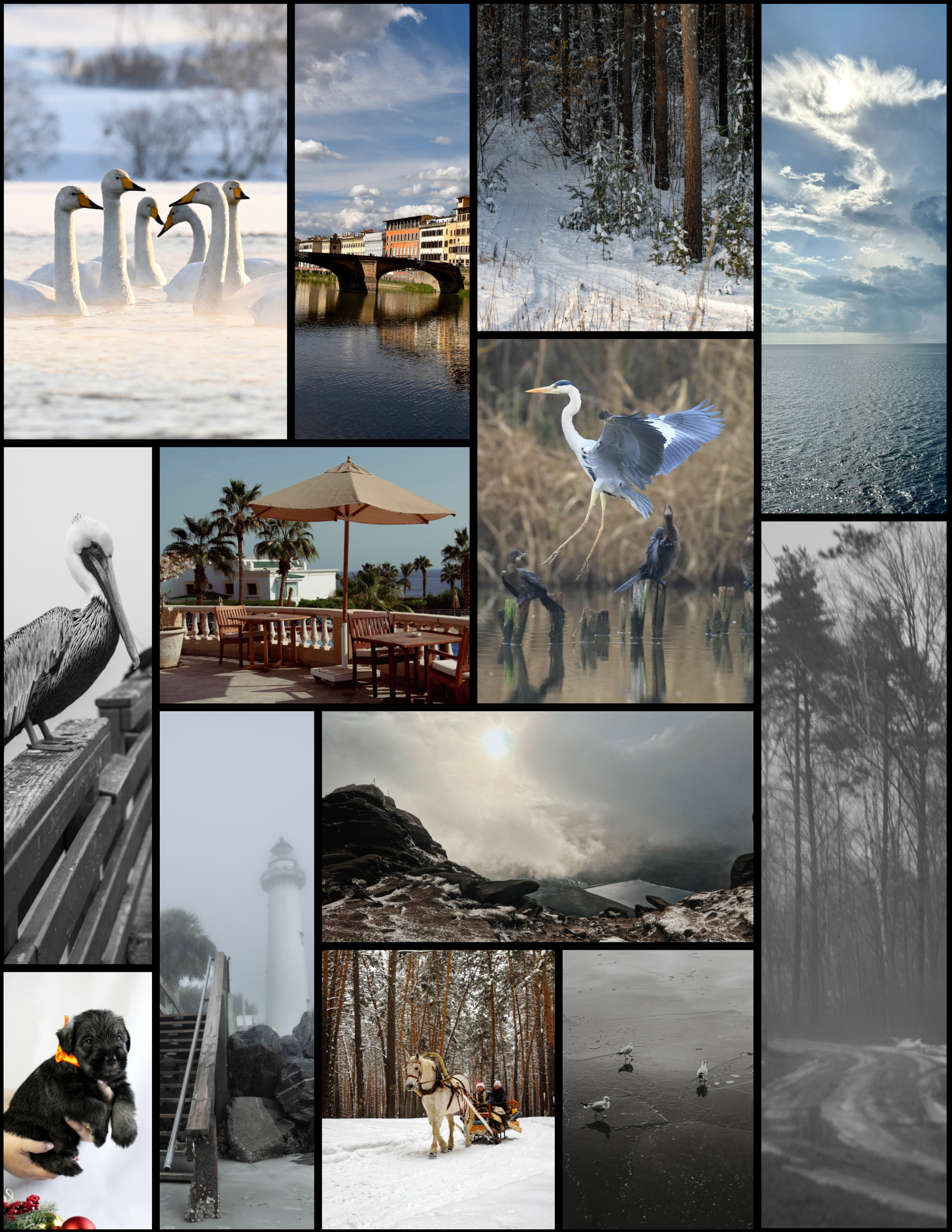 My publications in printed publications, magazines. Фотограф (photographer) Lischinski Vitaliy