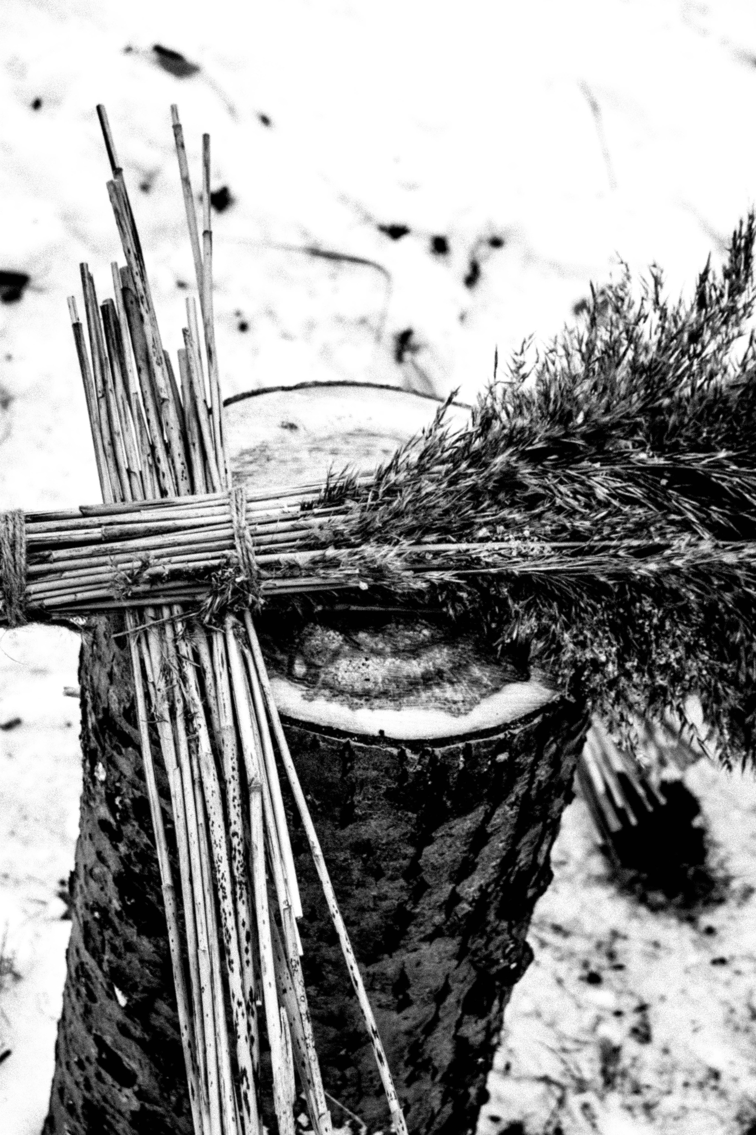 Мероприятия. Соня Мнема