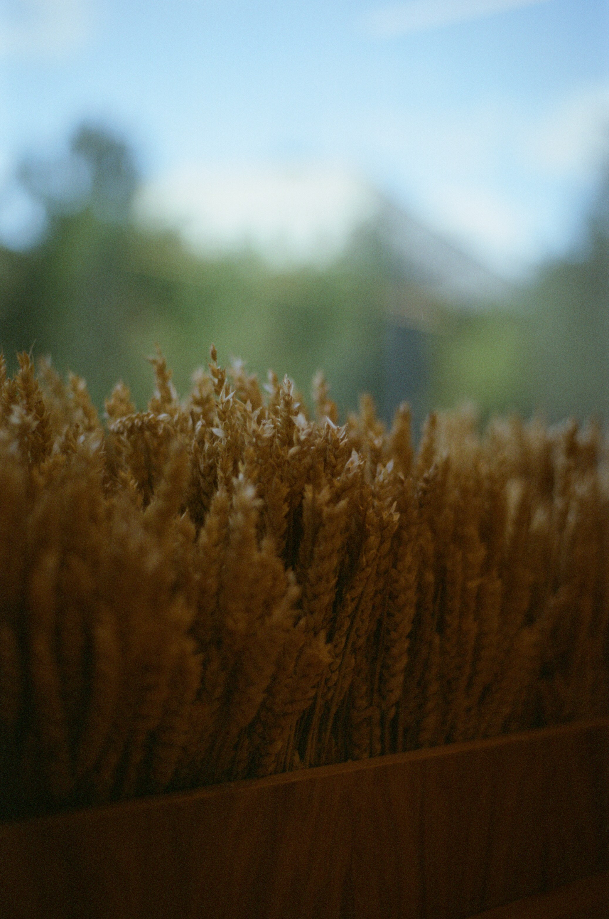 Интерьер и детали. Коммерческий фотограф в Москве Садовников Алексей