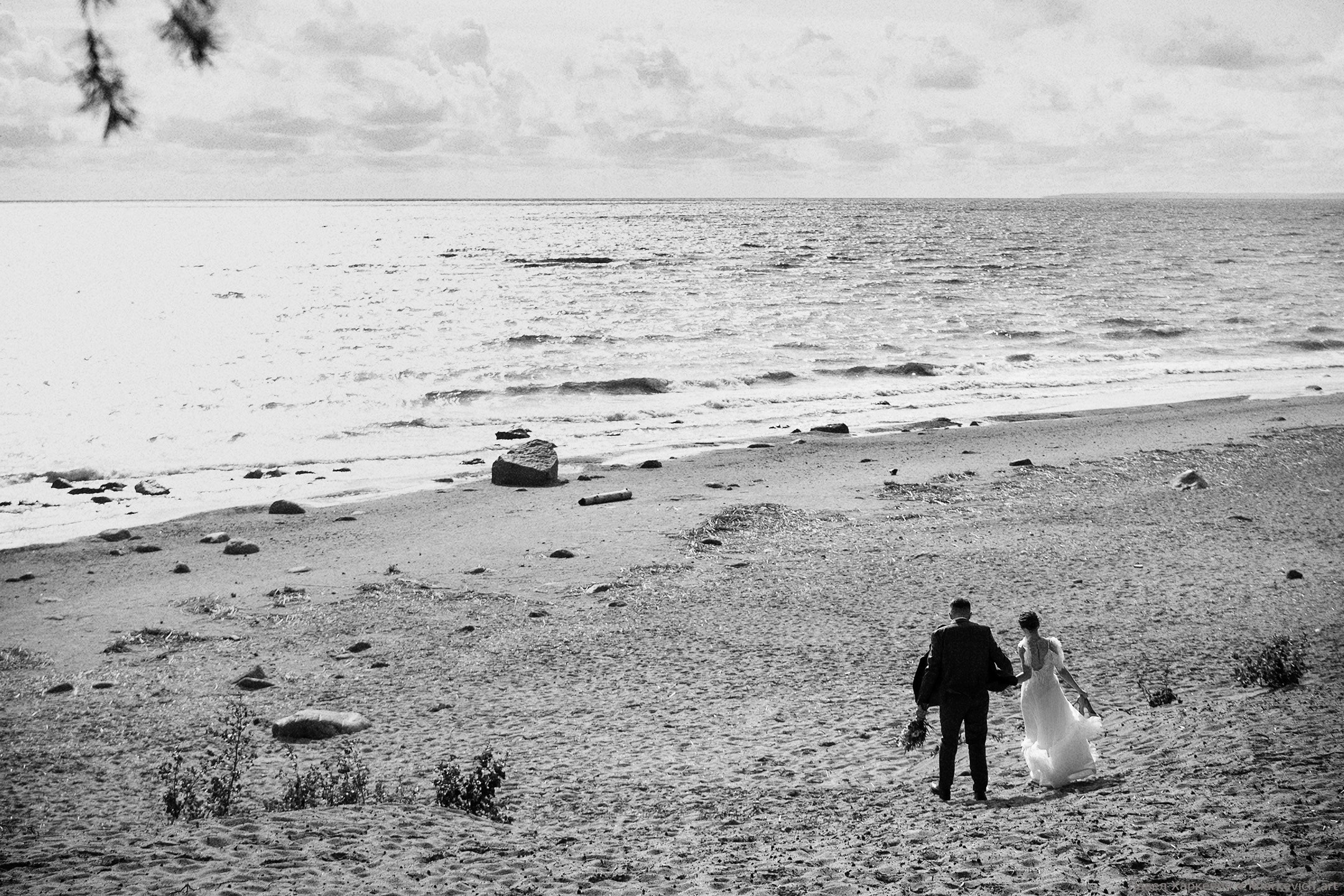 Свадьба — МОРЕ И ЛЕС. Фото-видео студия АРТ СОБЫТИЕ