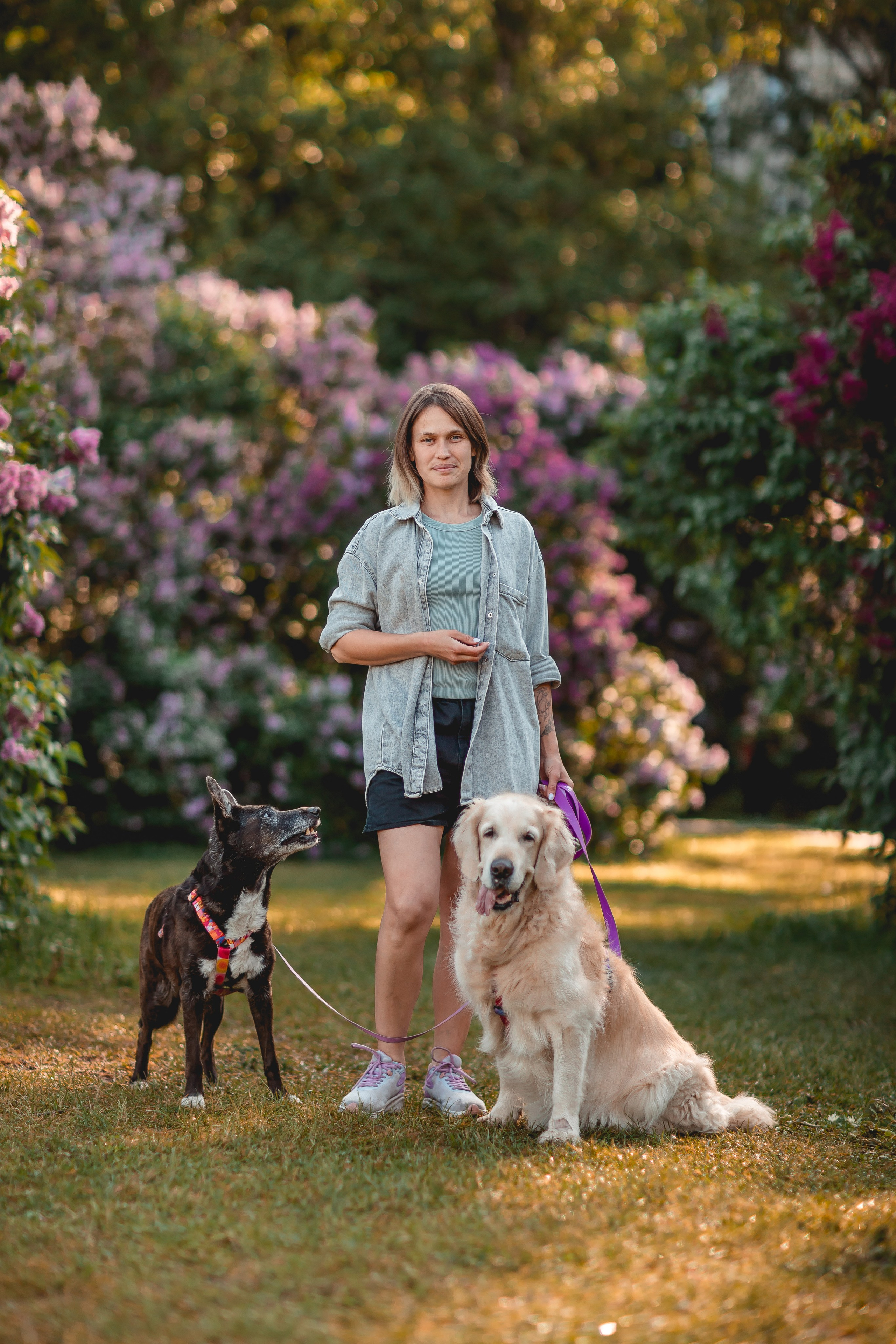 Ира, Альма и Белла. Семейный фотограф анималист Мария Крючкова