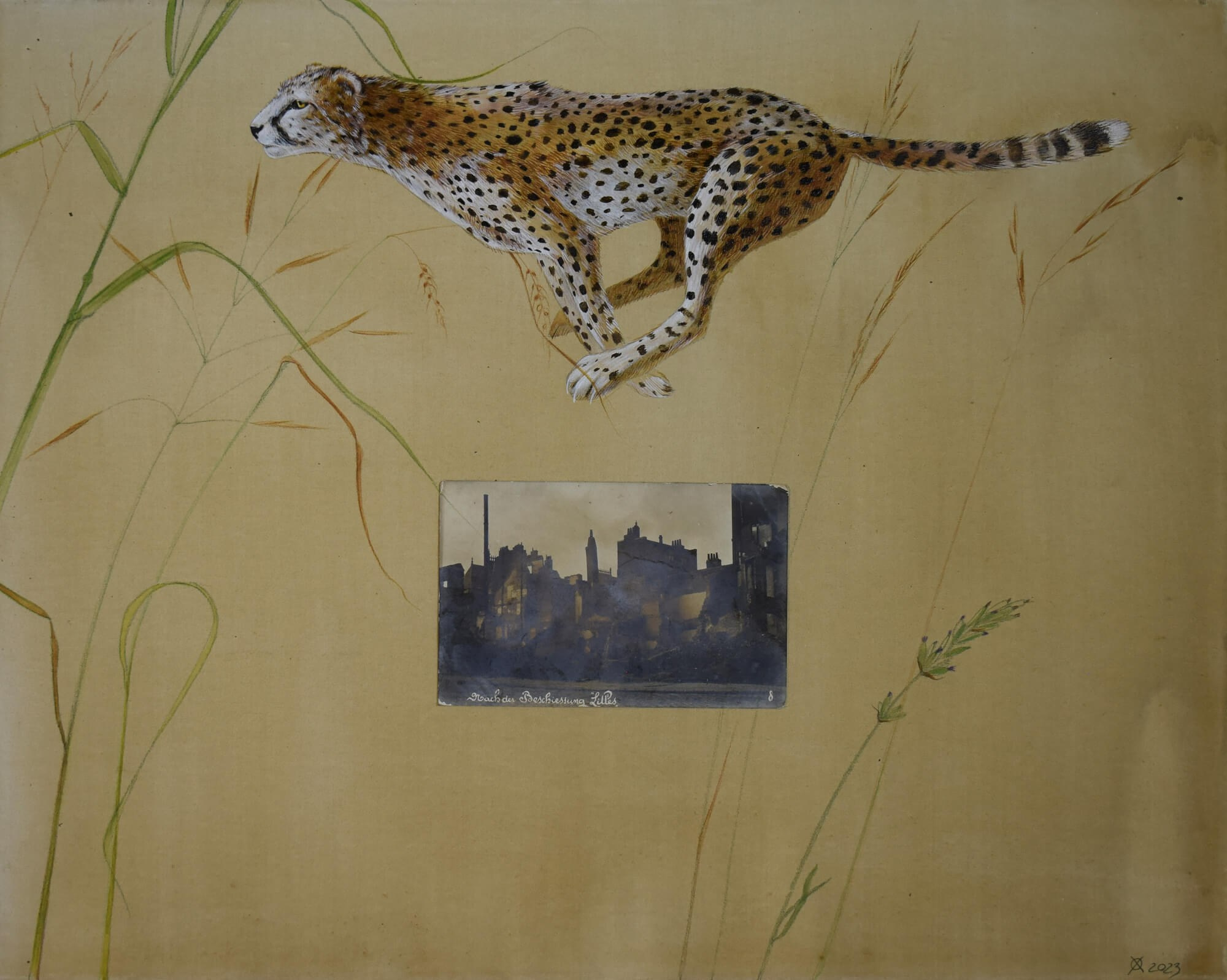 The sky cheetah, 40/50, mixed media on canvas, 2023