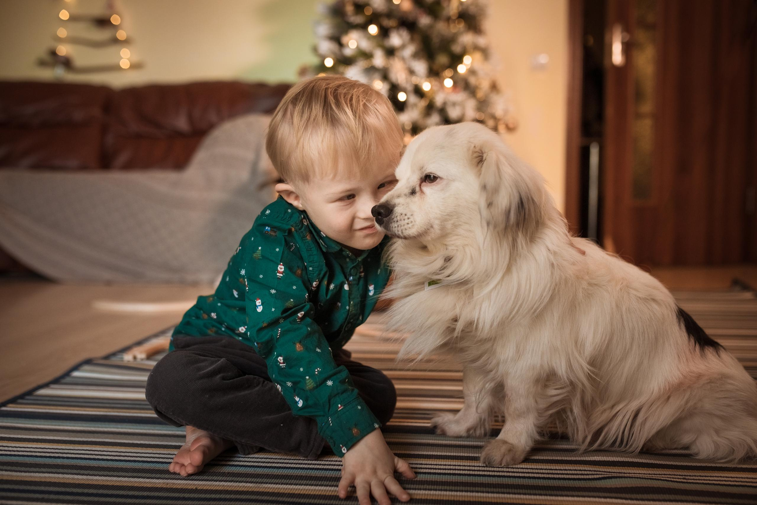 Домашняя теплая съемка для чудесной большой семьи. Женский семейный фотограф Тула Москва Захарова Анна
