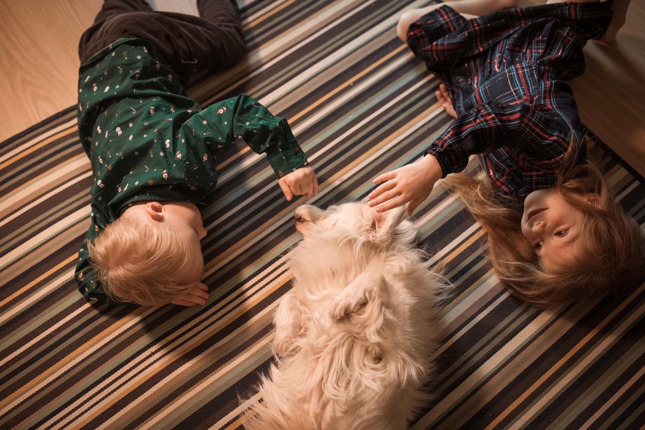 Домашняя теплая съемка для чудесной большой семьи. Женский семейный фотограф Тула Москва Захарова Анна