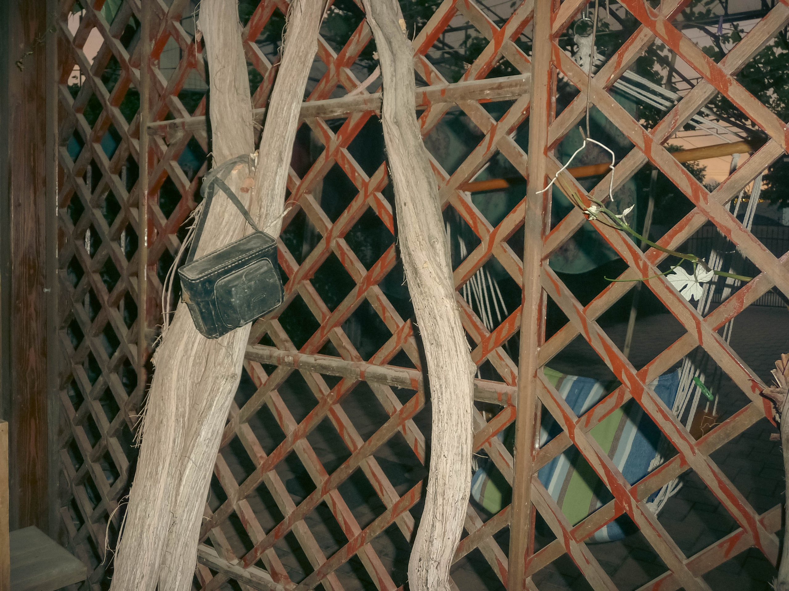 Майская Кубань. Фотограф Анастасия Лощакова в Москве